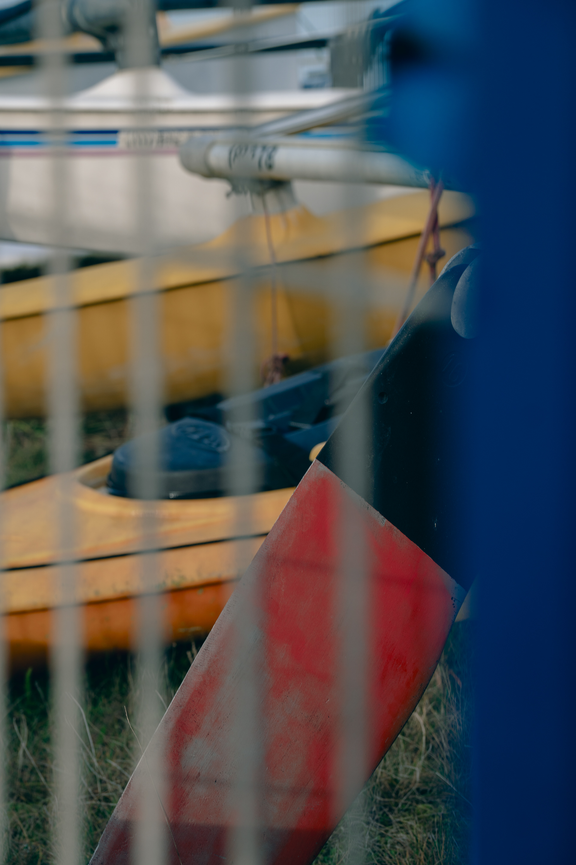Coloured Yard