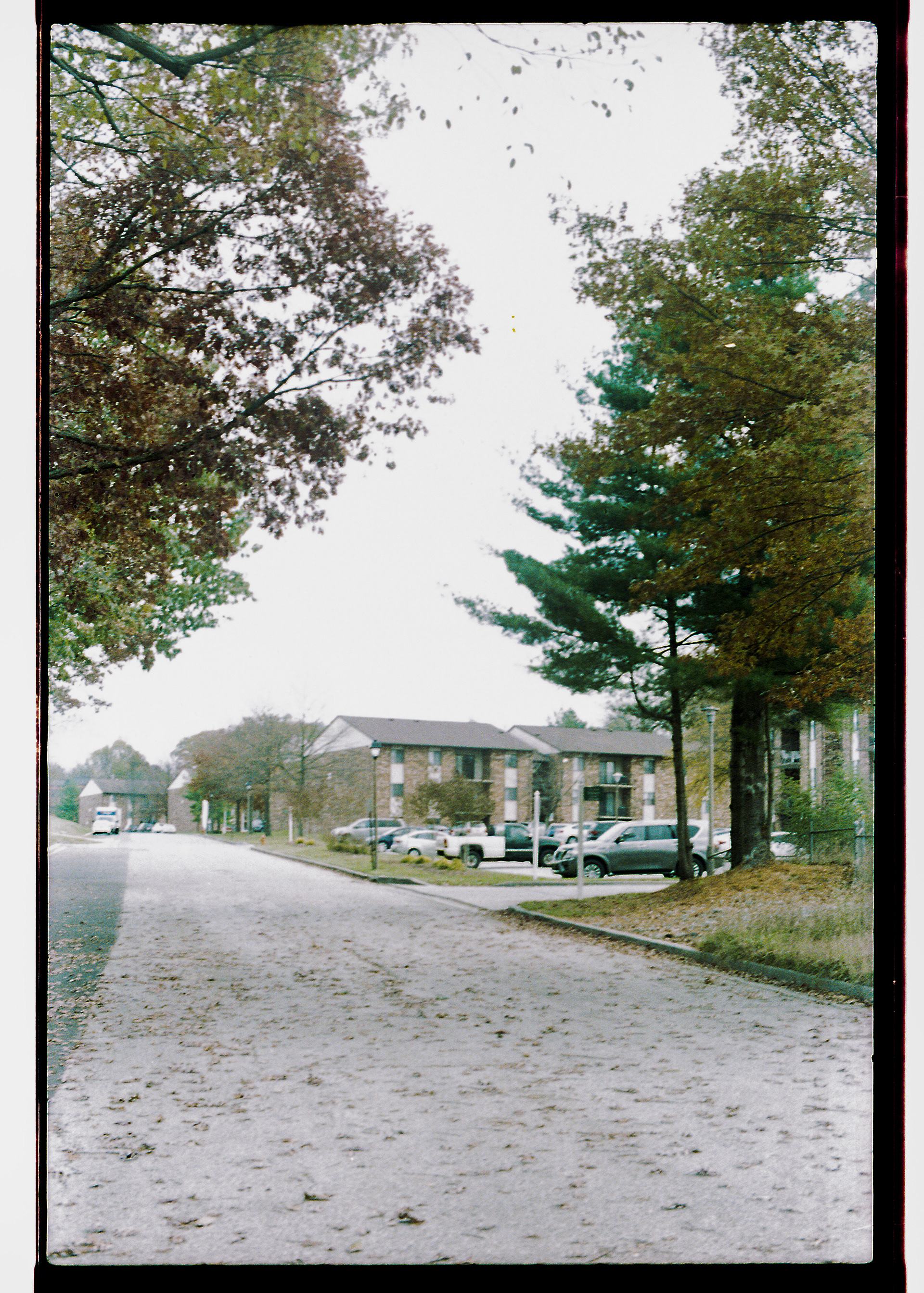 My Street