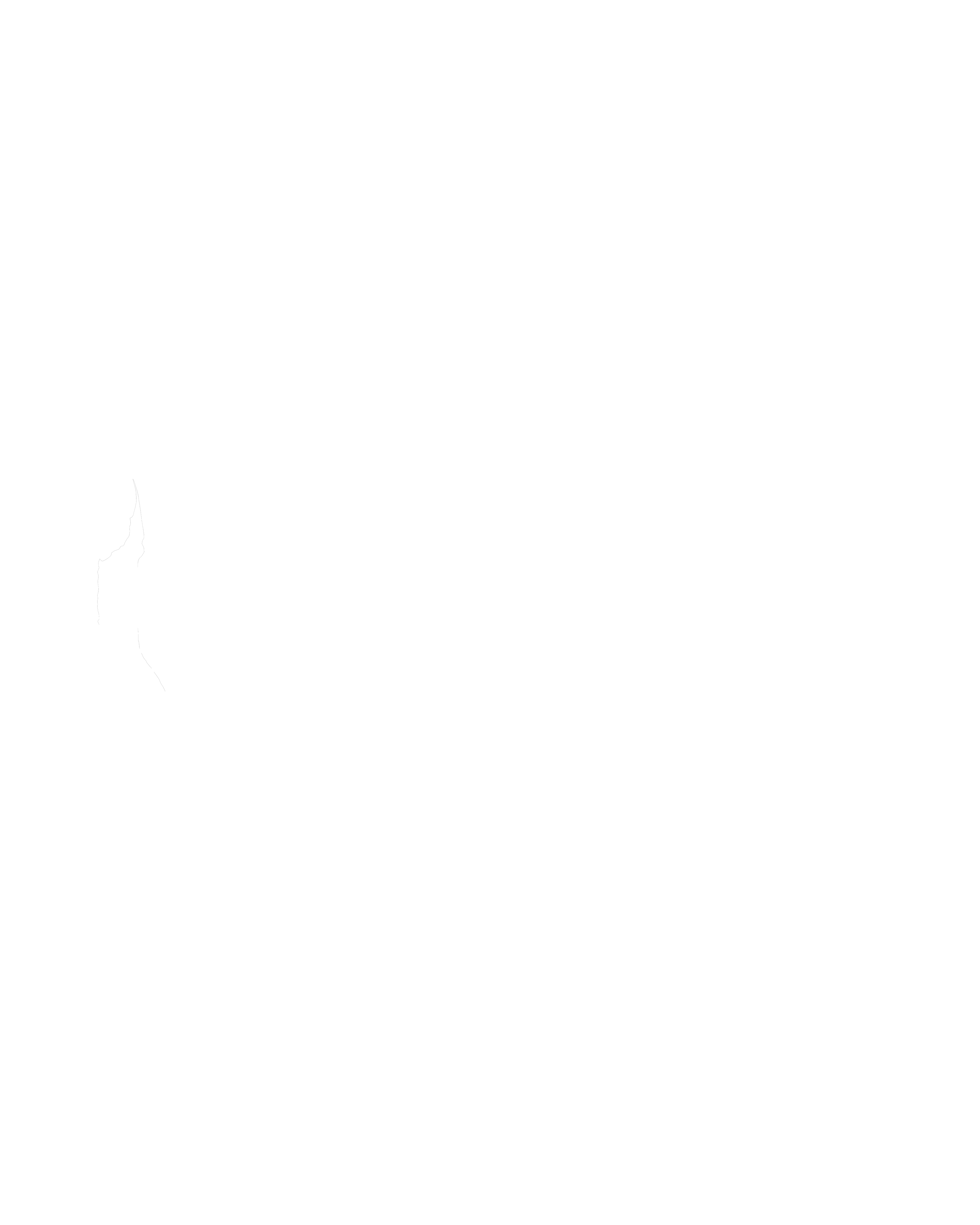 Skull Prophet (Original)