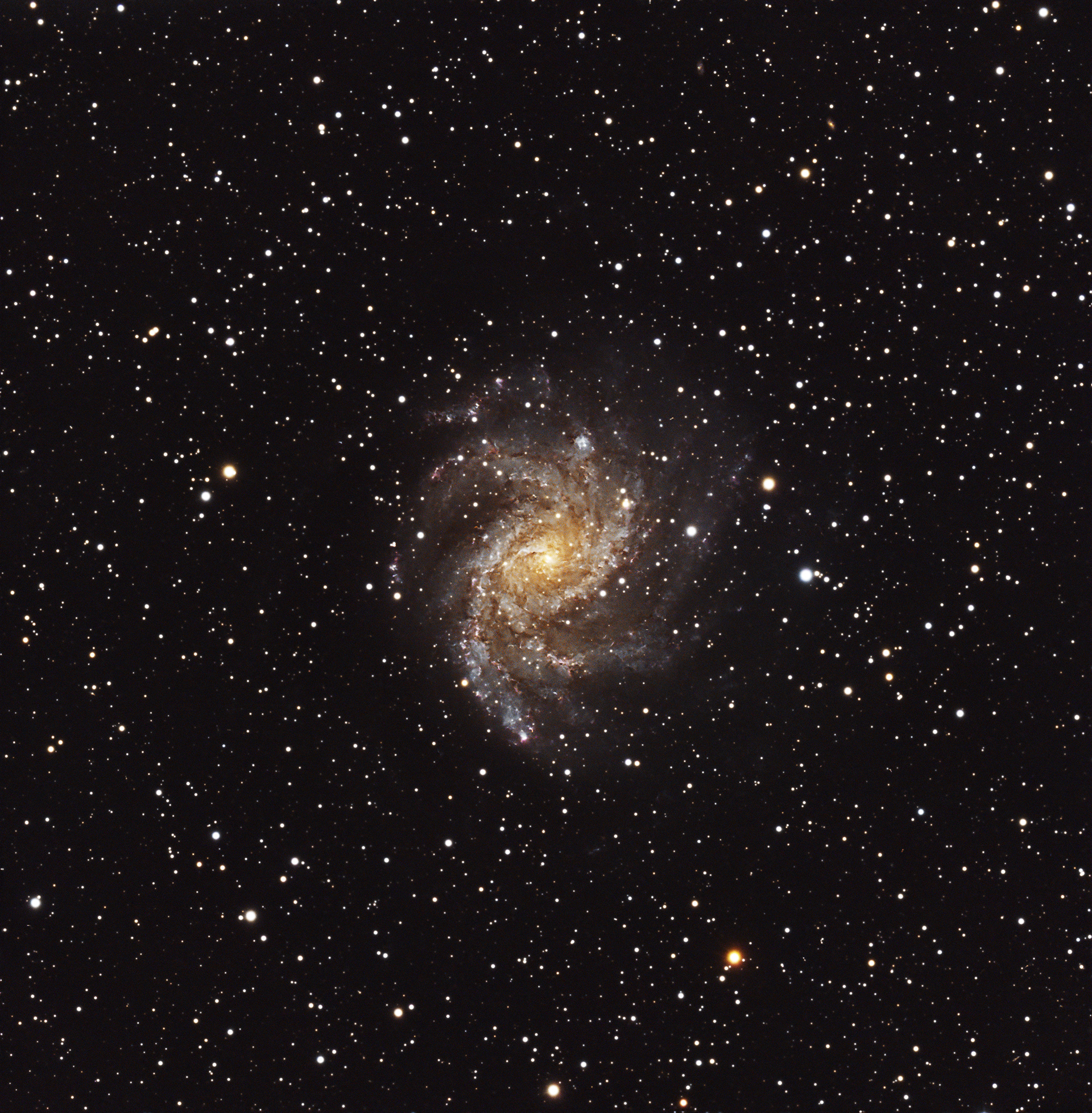 Fireworks Galaxy