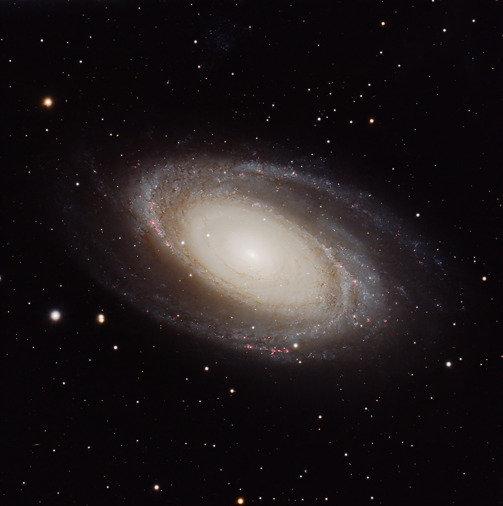 M81 Bode's Galaxy
