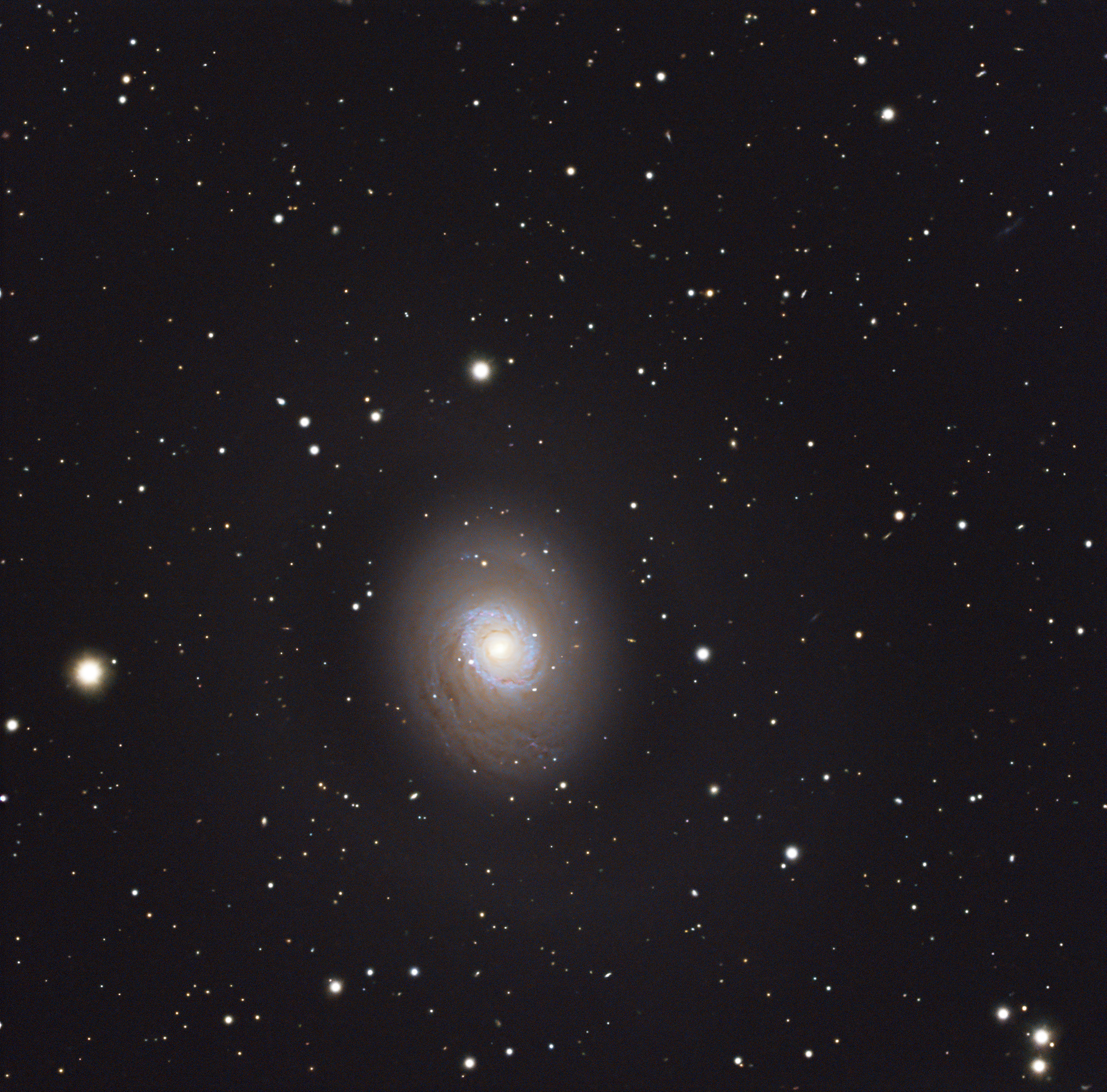 Croc's Eye Galaxy 