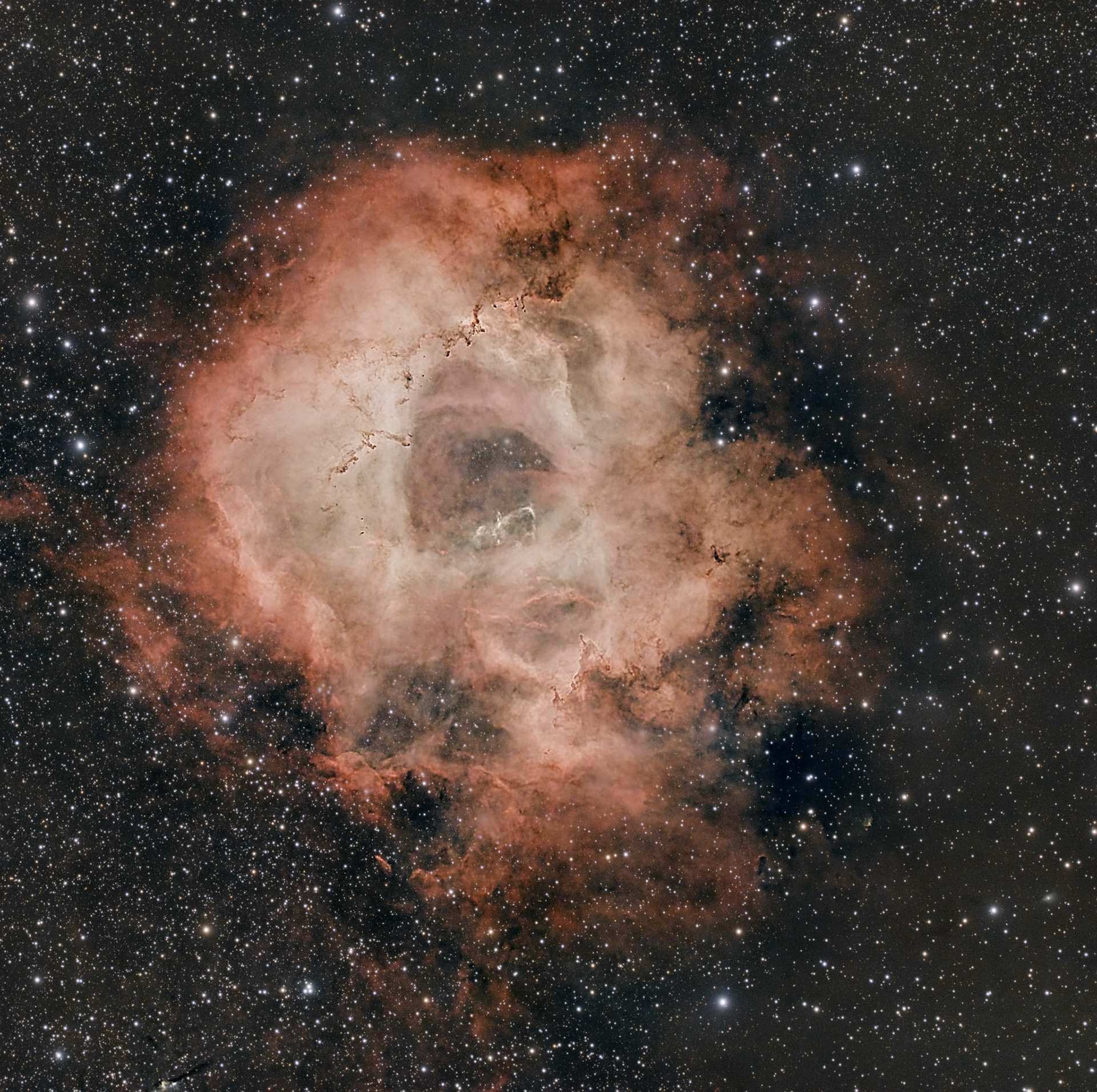 Rosette Nebula