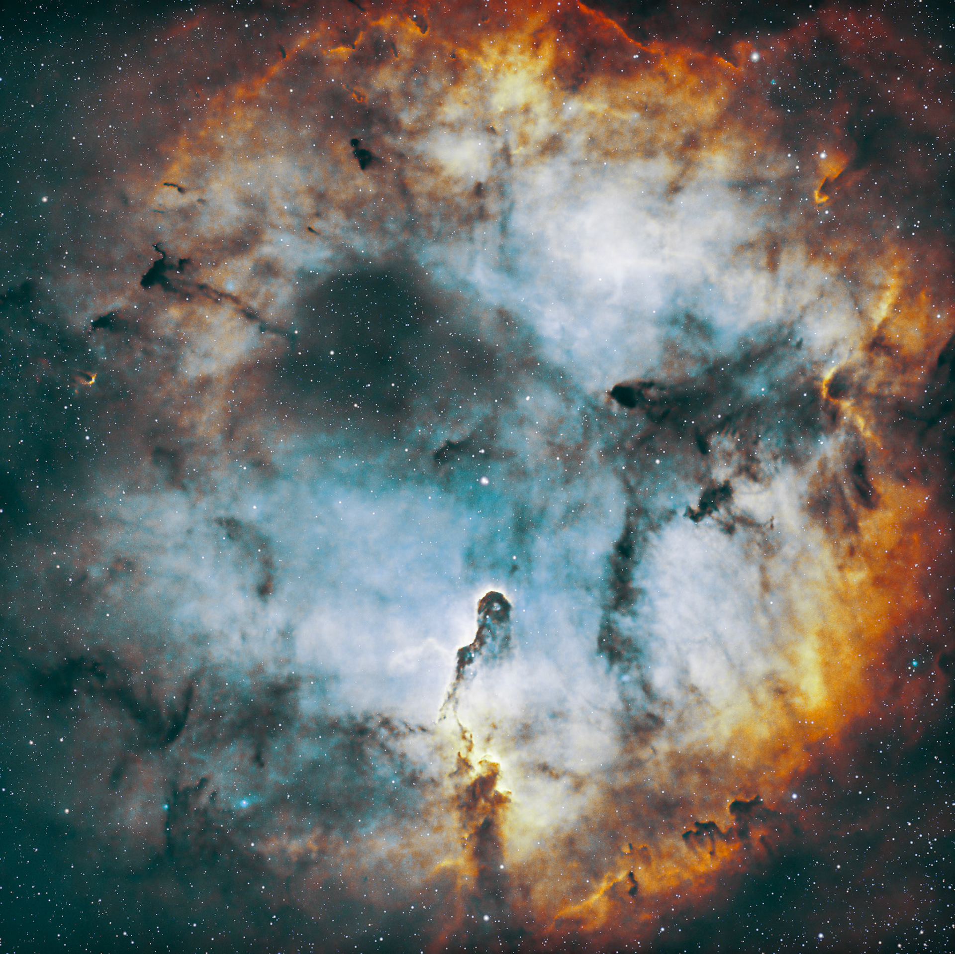 Elephant's Trunk Nebula