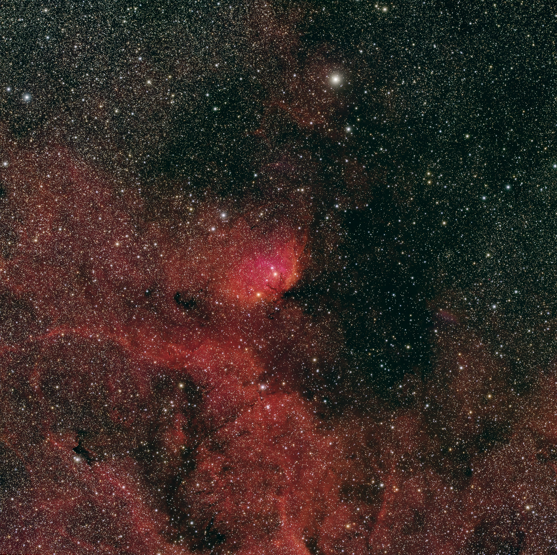 SH2-101 Tulip Nebula