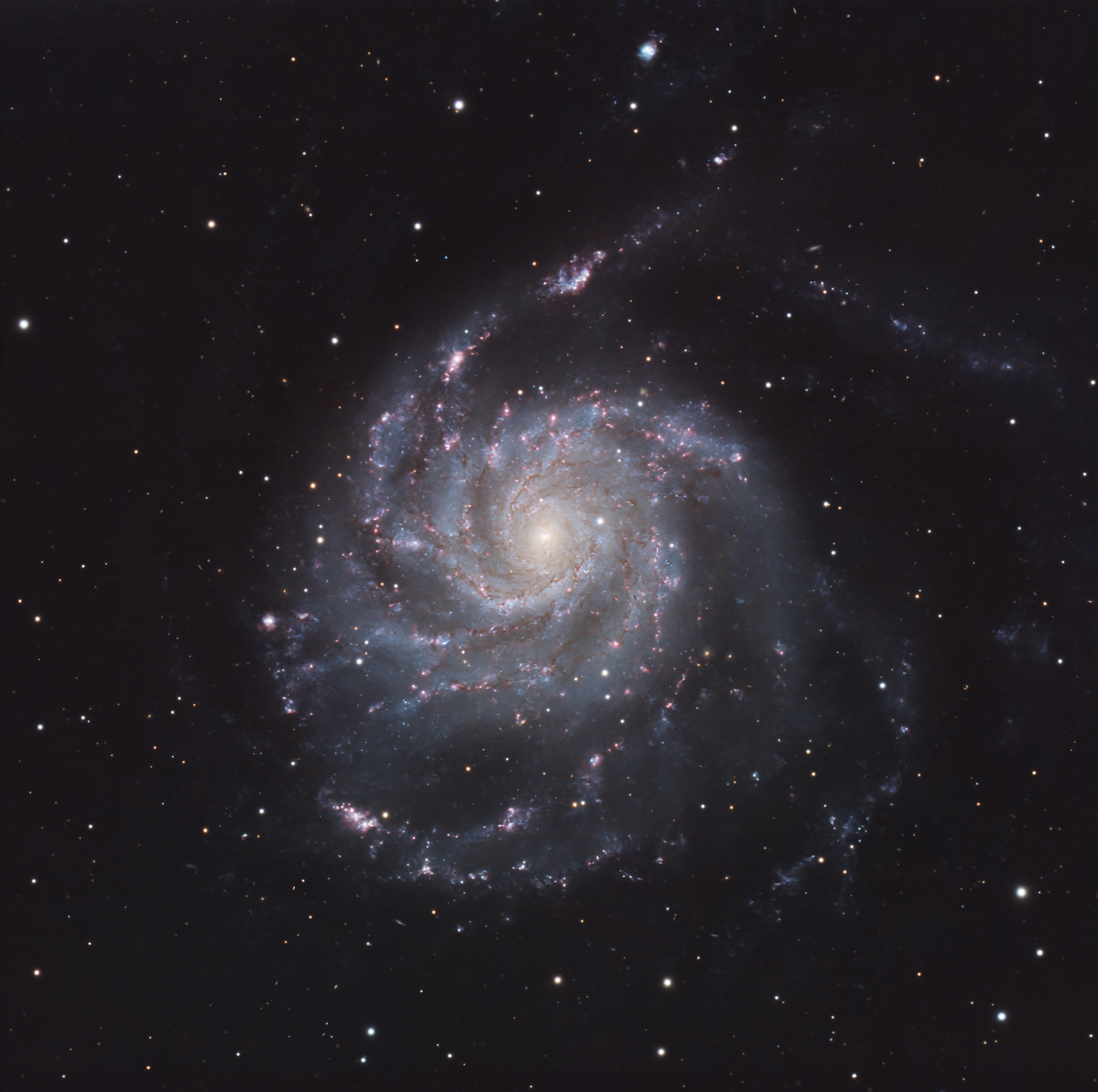 M101 Pinwheel Galaxy