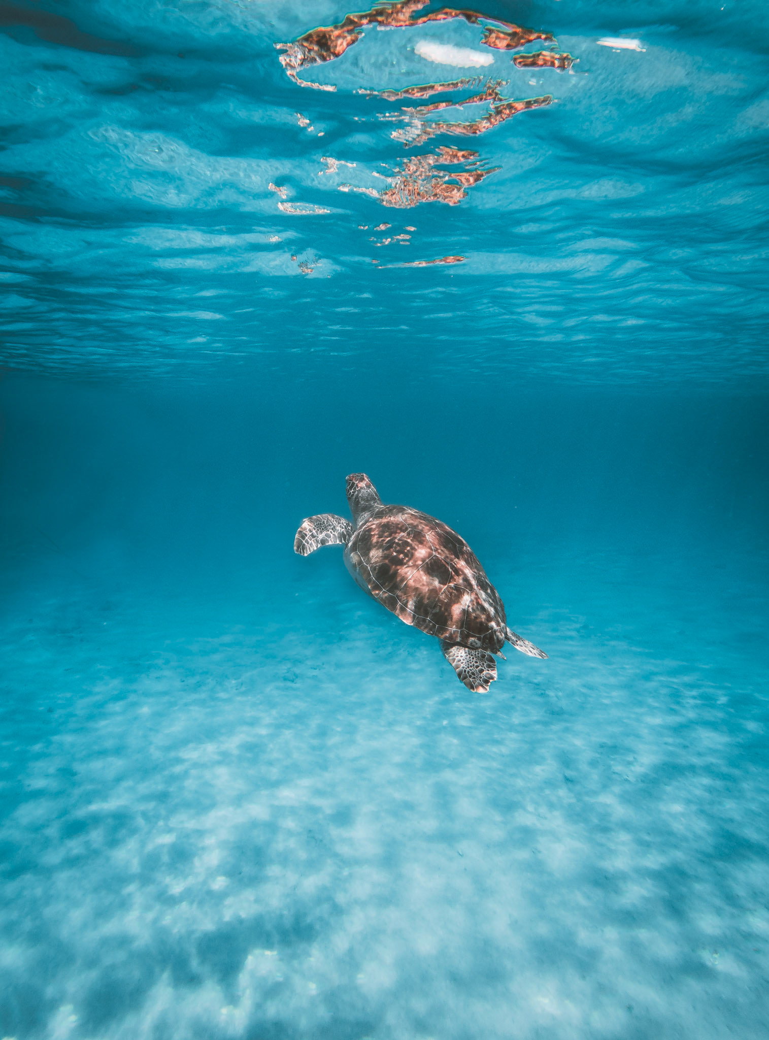 C:\DCIM\100GOPRO\GOPR1766.GPR