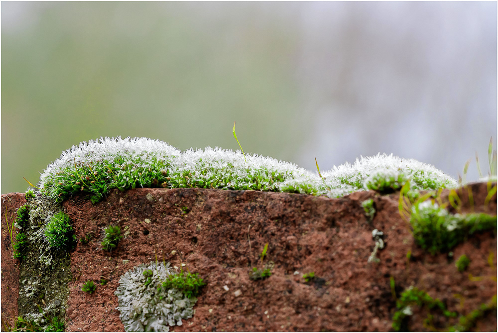 Givre