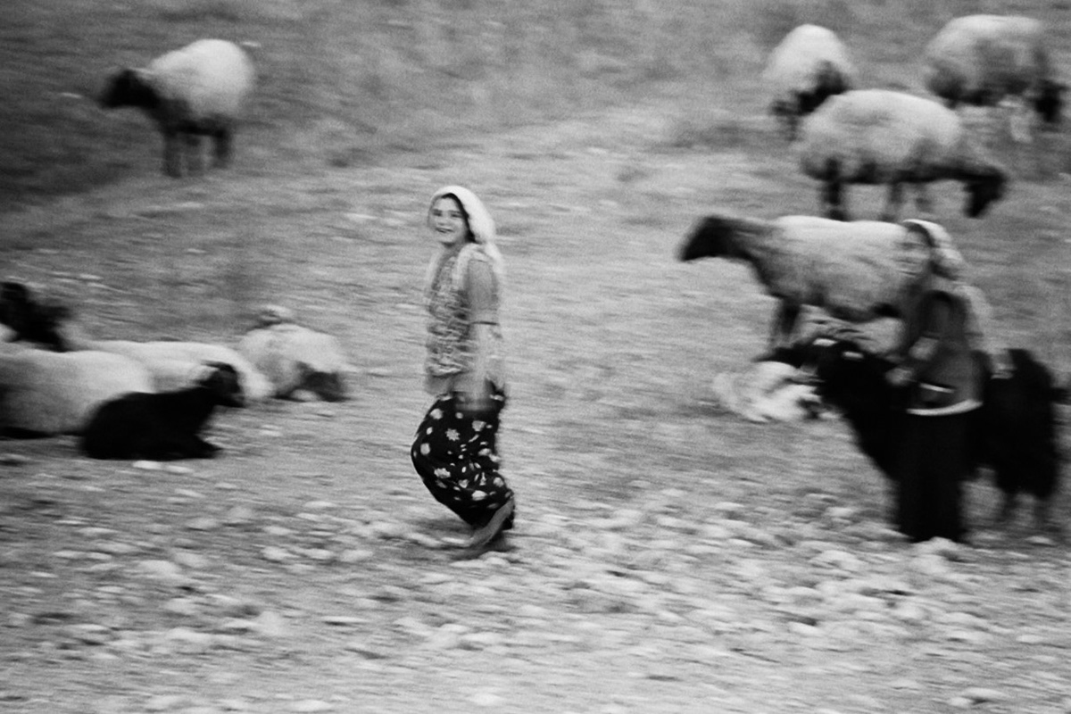 Van, Turkiye