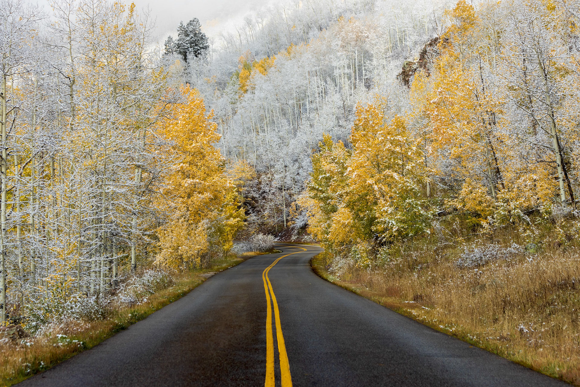 On the Road from Fall to Winter