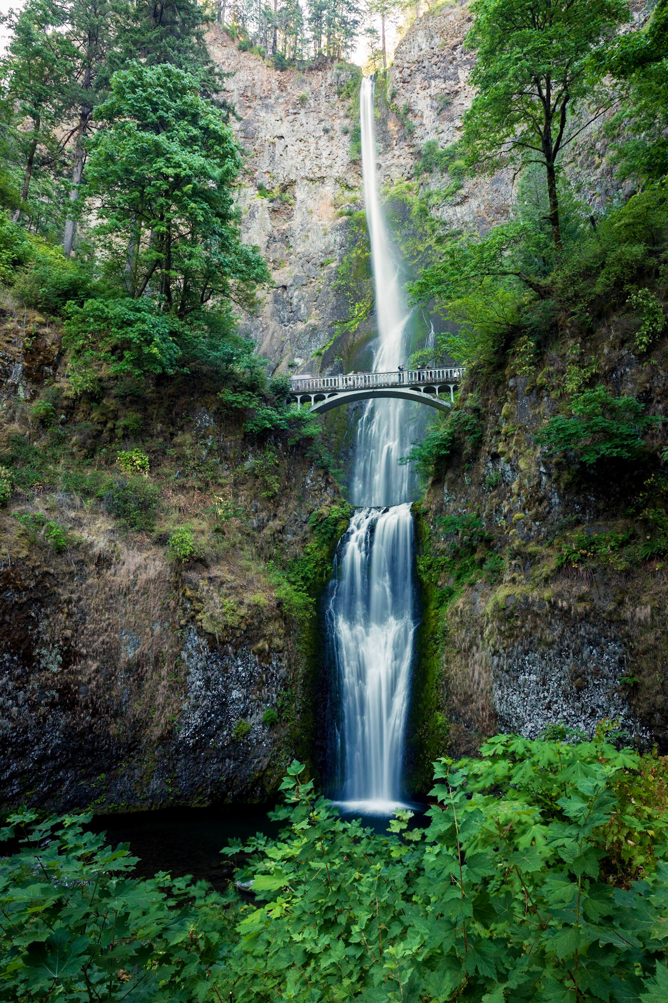 Multnomah Falls
