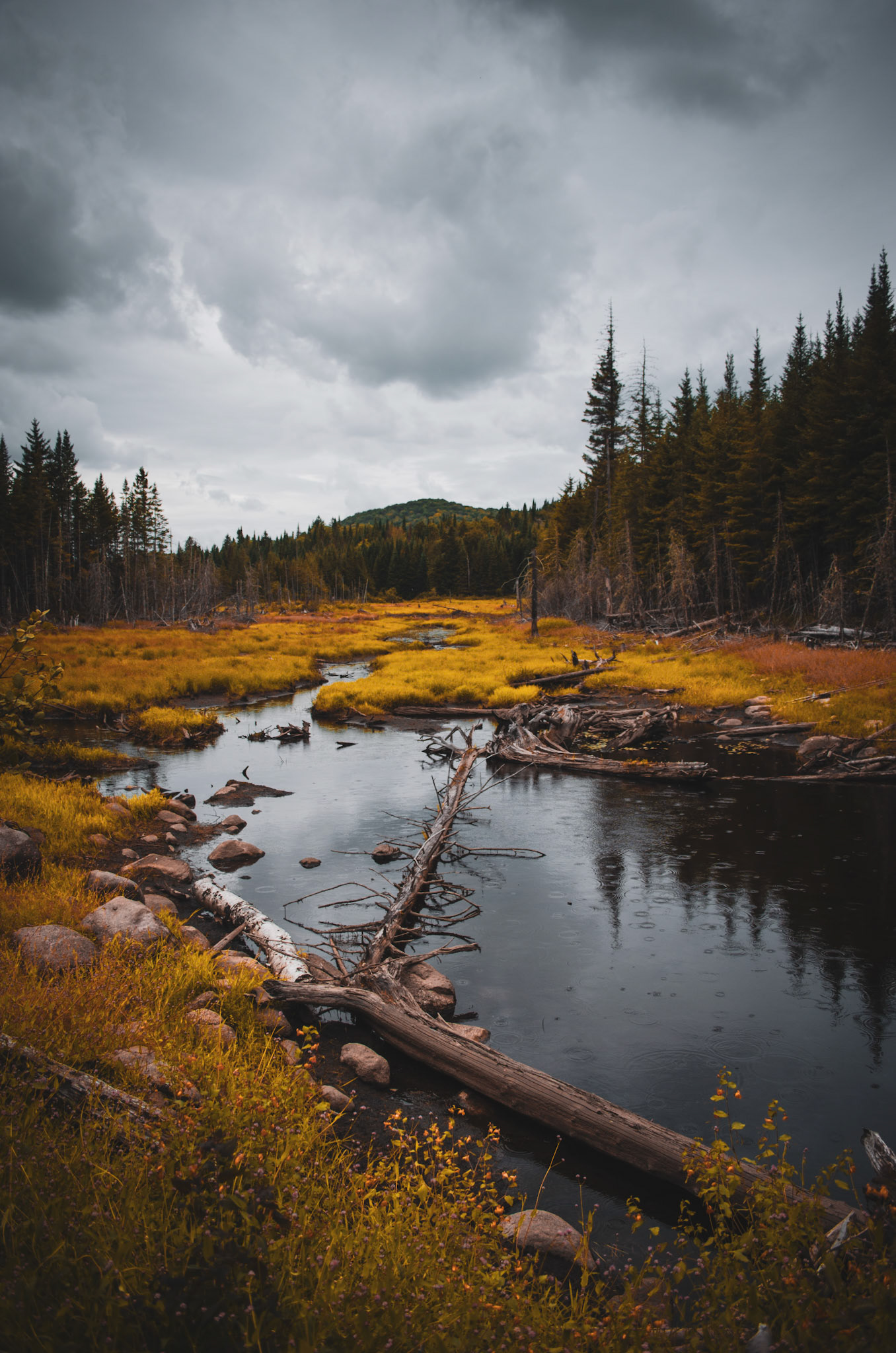 Saint-Adolphe d'Howard, Québec, Canada