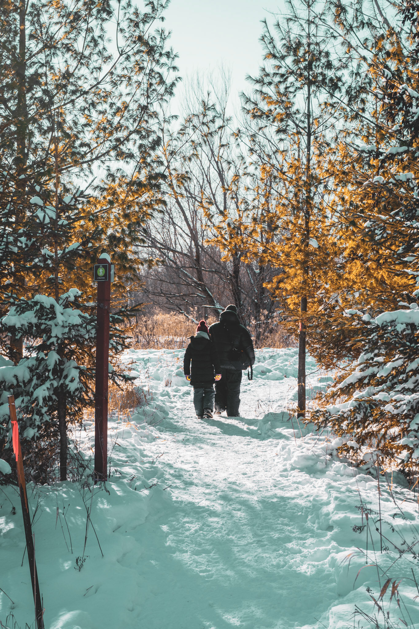 Parc National du Mont Saint-Bruno, Québec, Canada