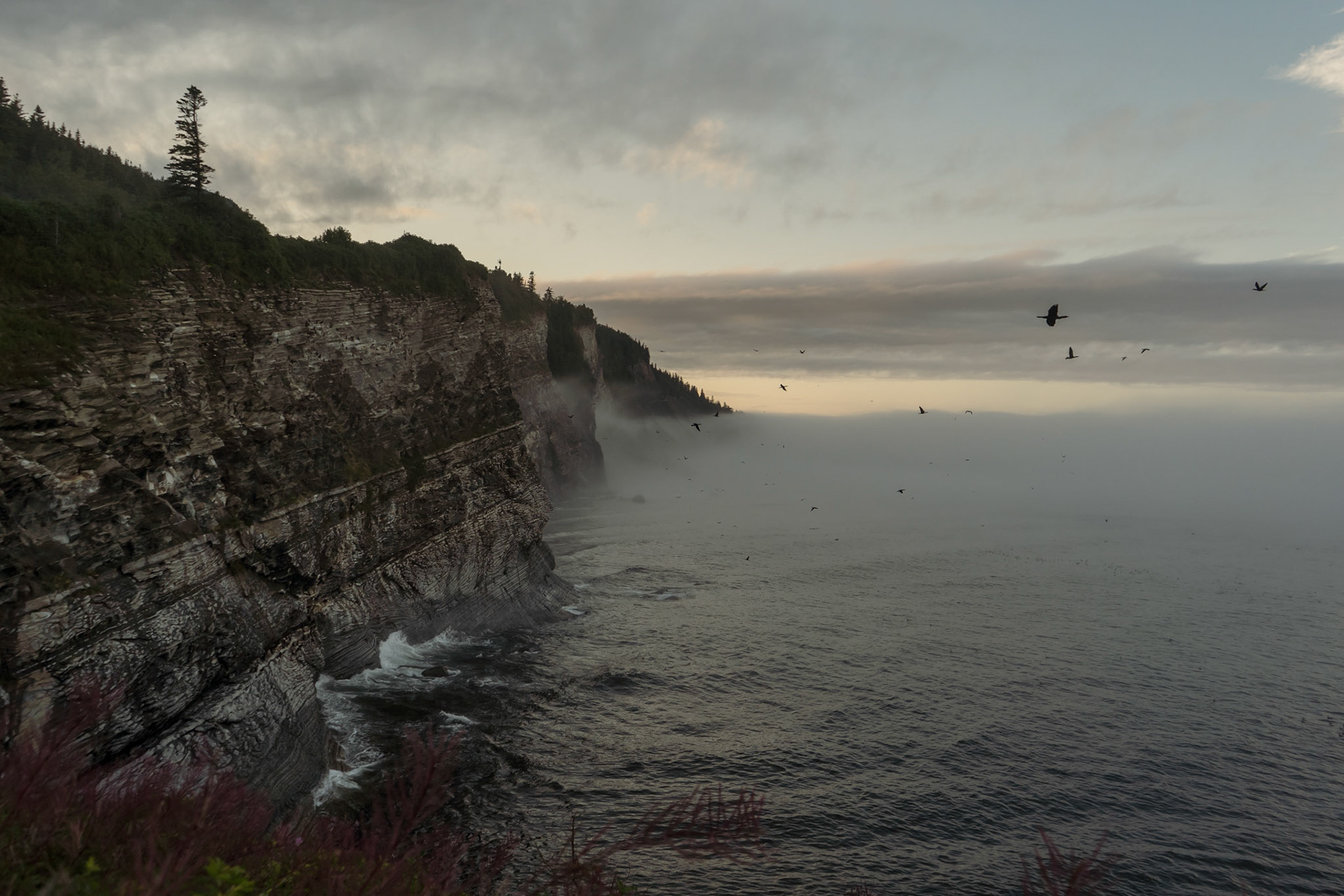 Parc National Forillon, Québec, Canada