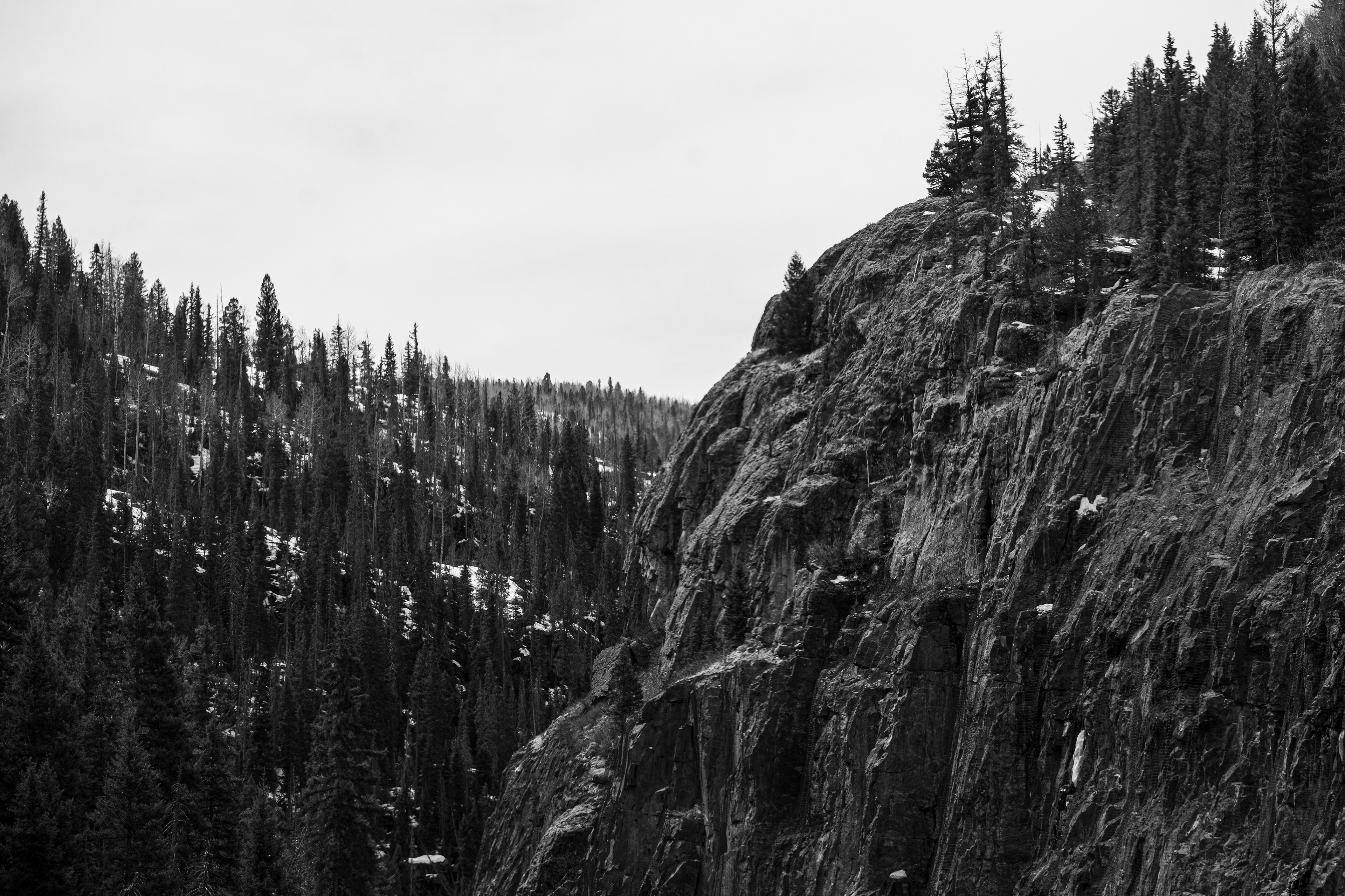 Sony A7 | Lightroom | 70-200mm