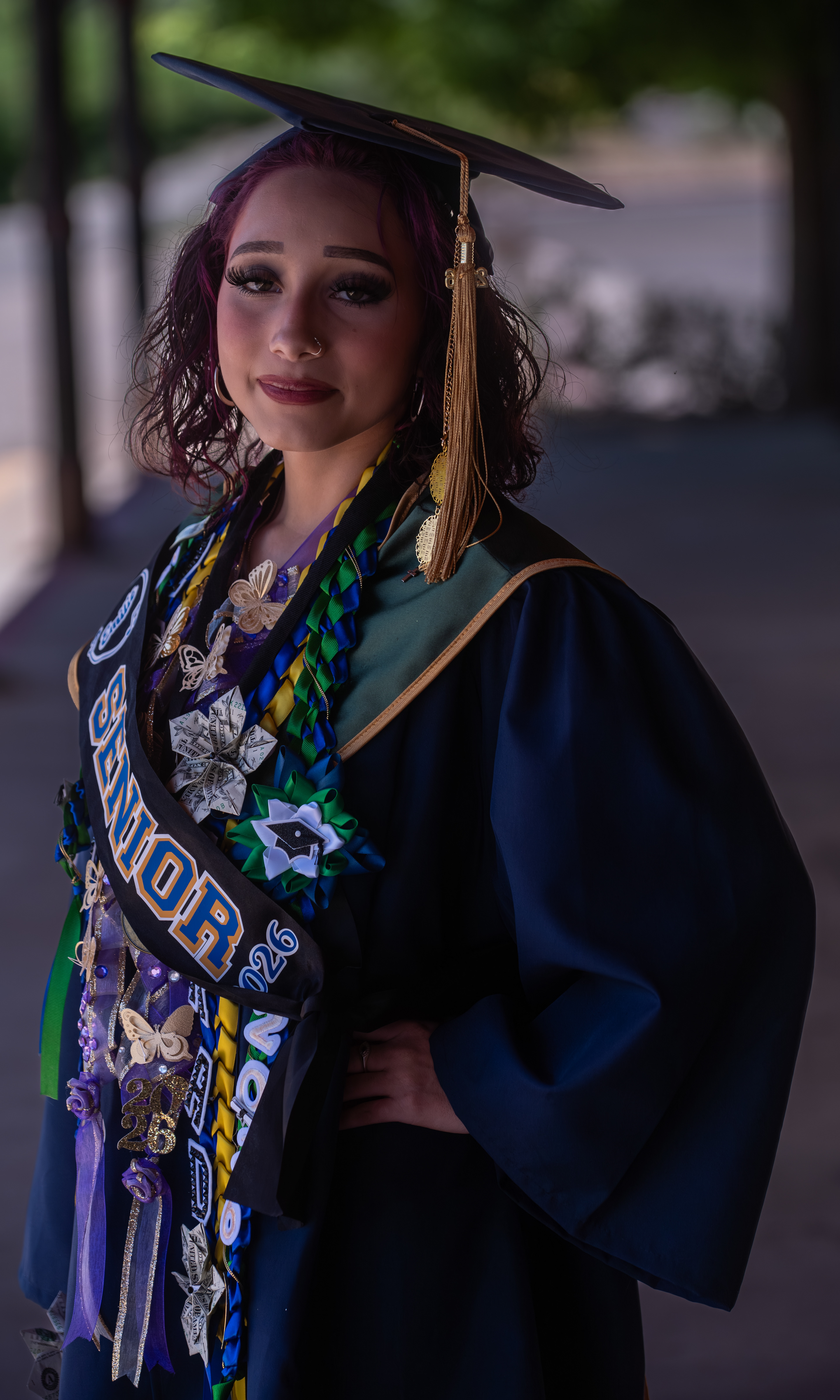 Sony A7 | Lightroom | 70-200mm f/4