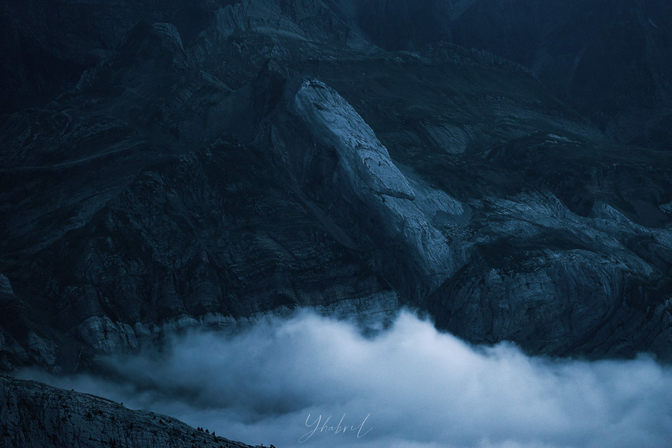 Suela de la Zapatilla