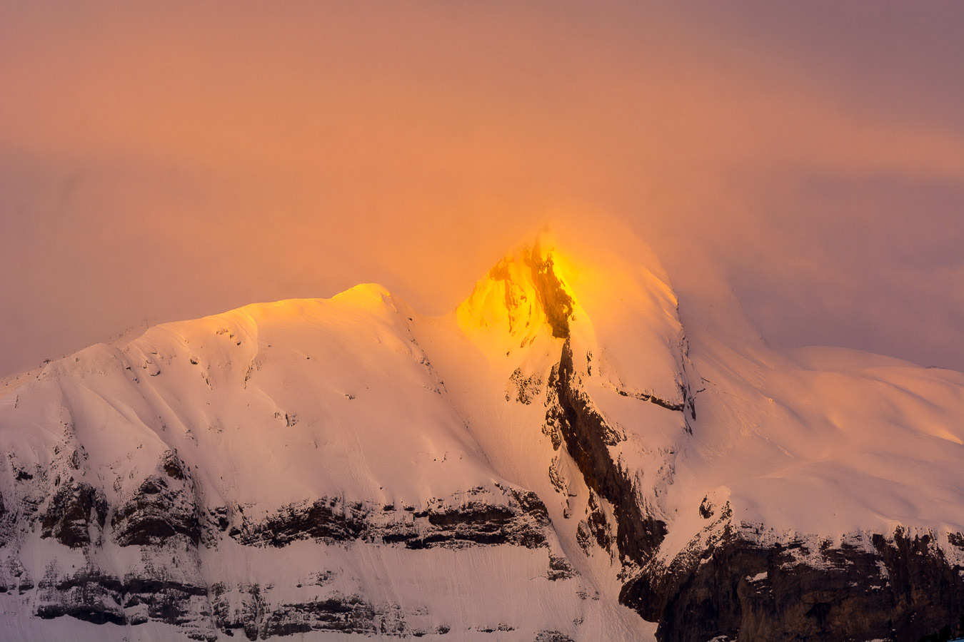 Suela y tubo Zapatilla