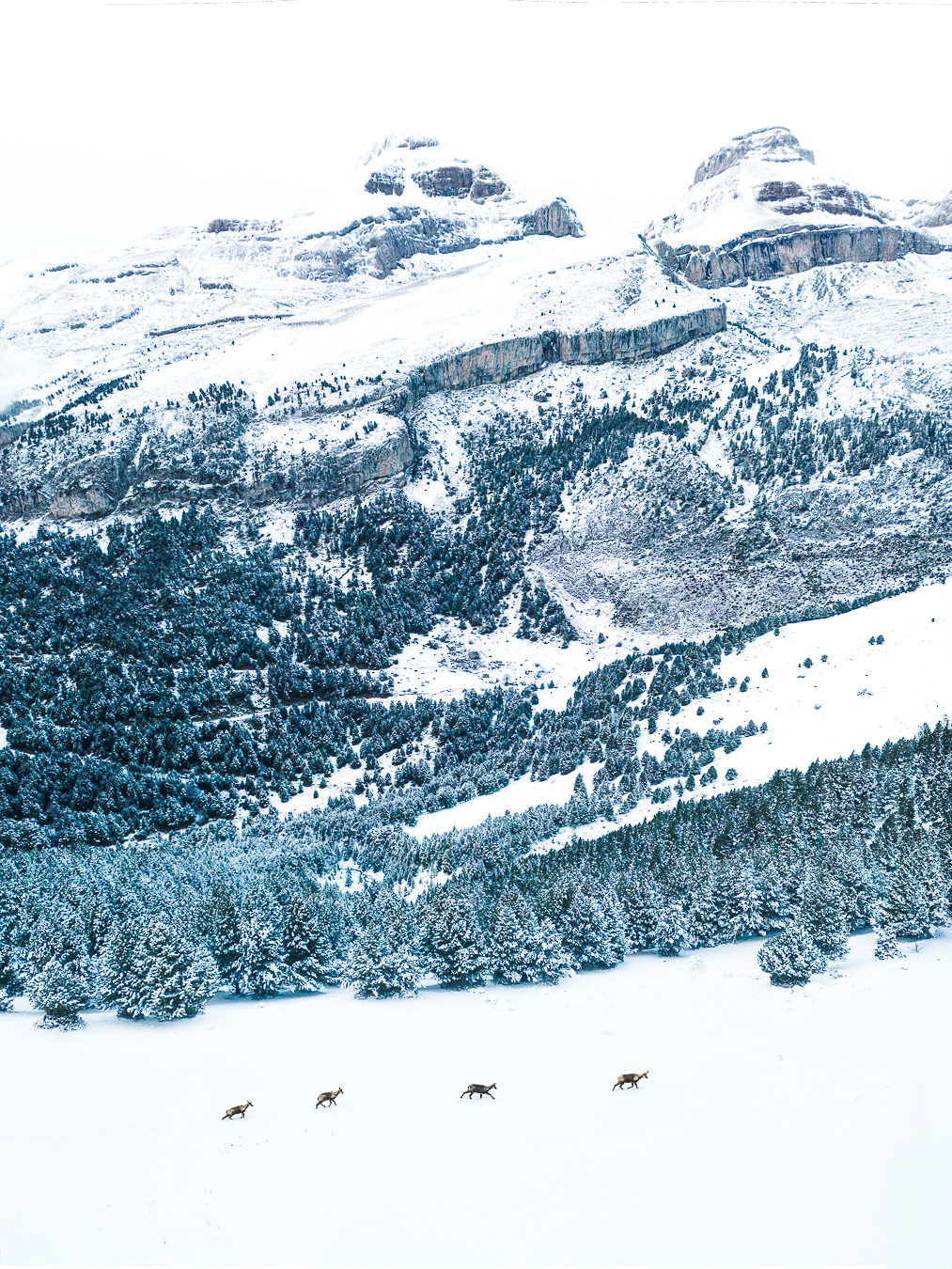 Collarada y Collaradeta