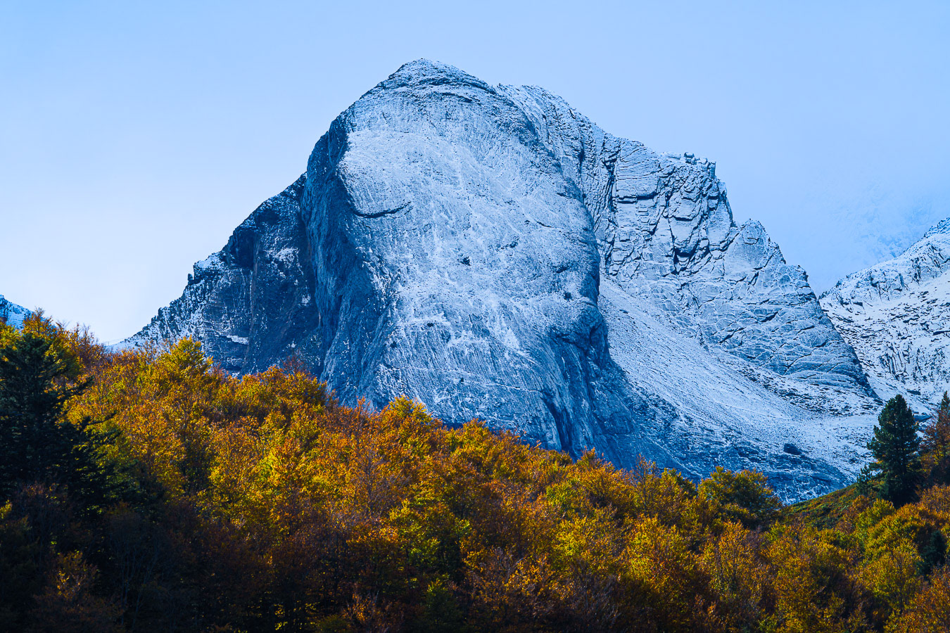 Suela de la Zapatilla