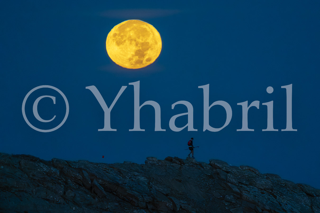 66. Jose Maria Escuder