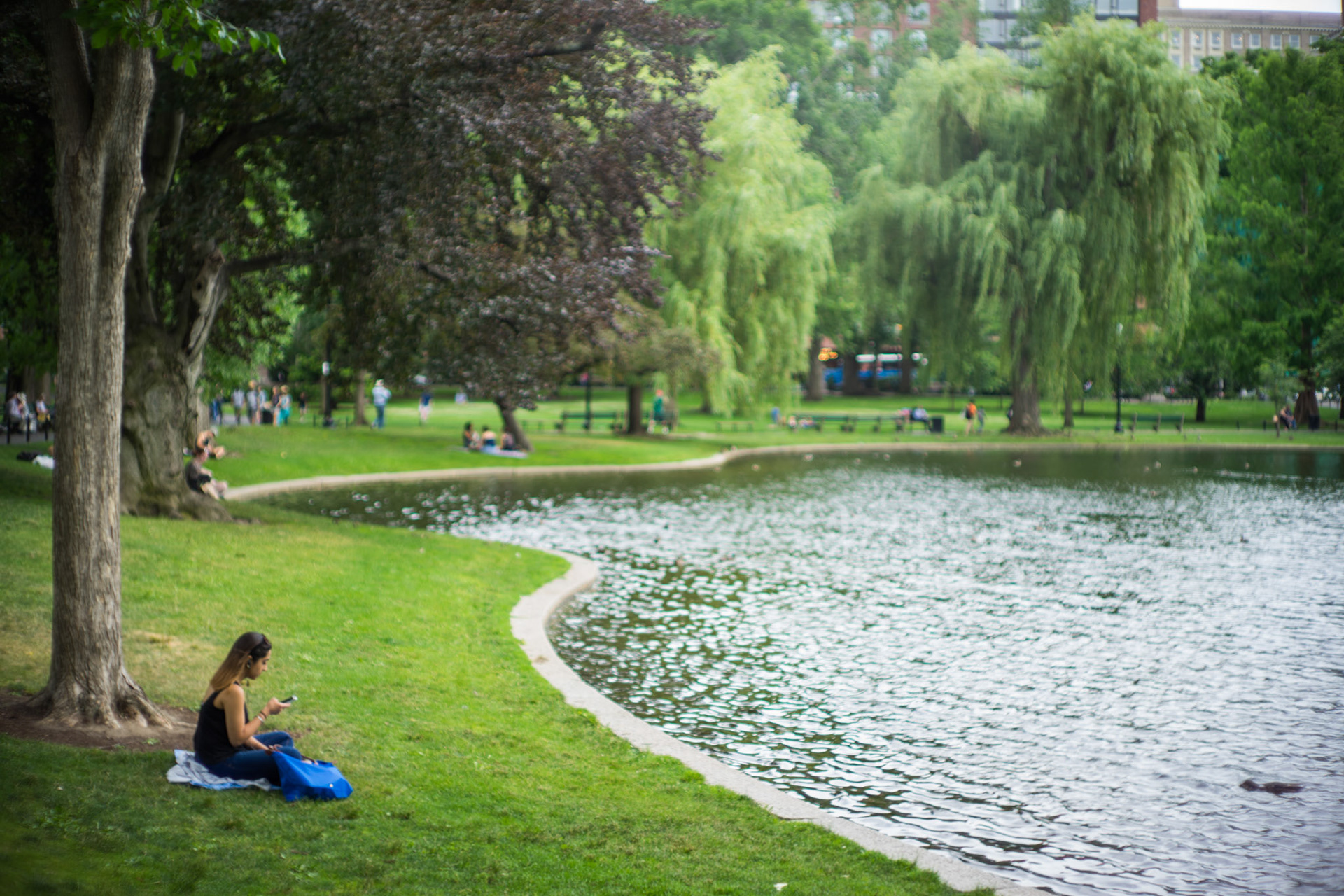 Reading in the Boston common