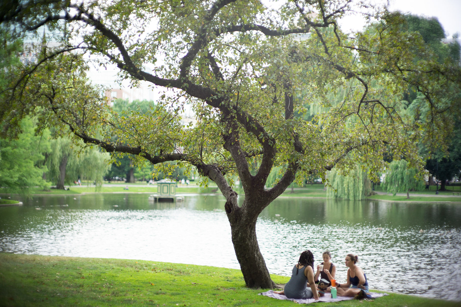 a pick-nic in the Boston Common