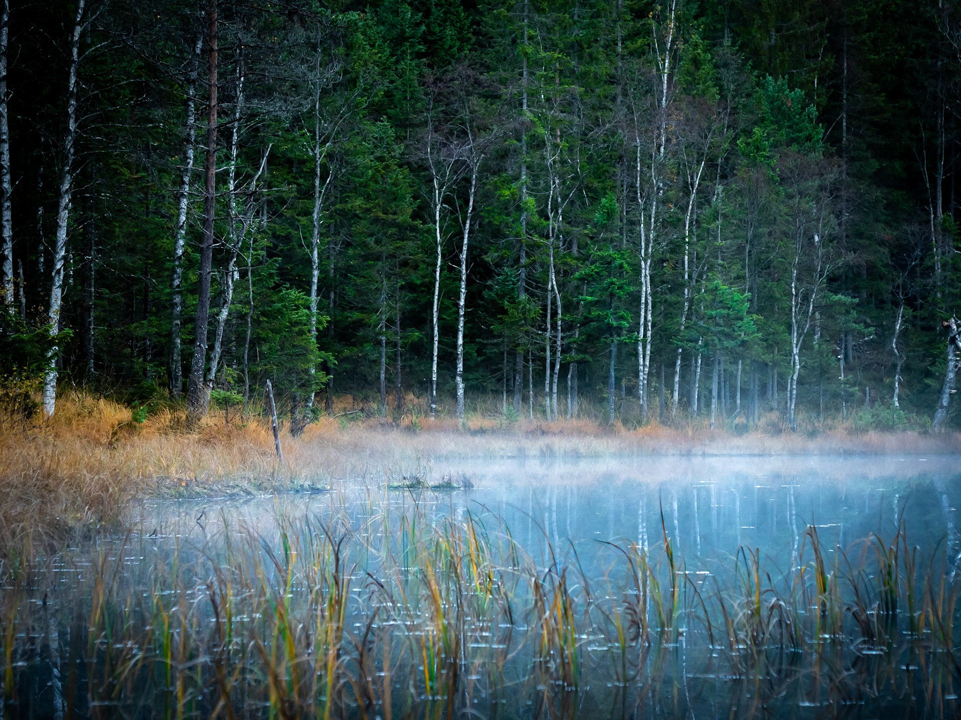 Solemskogen