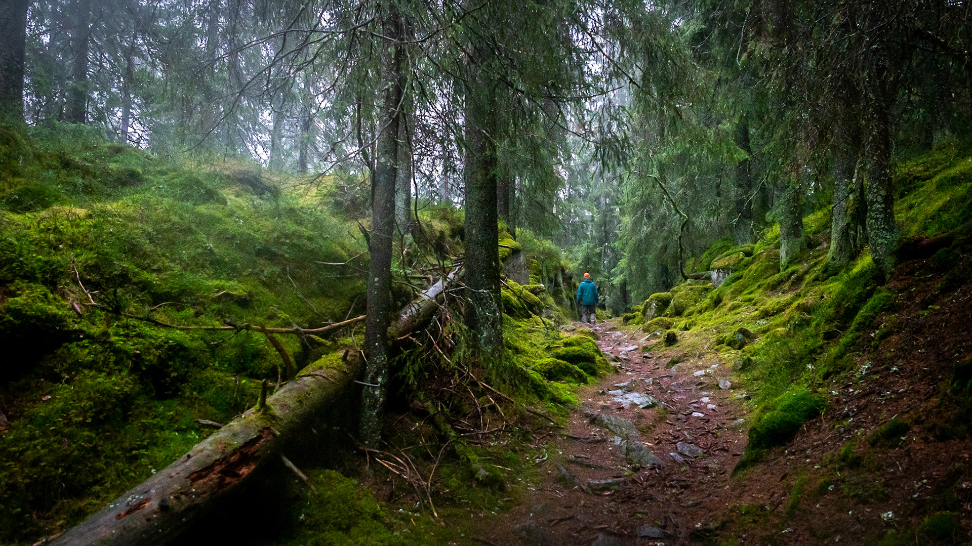 Trollvann