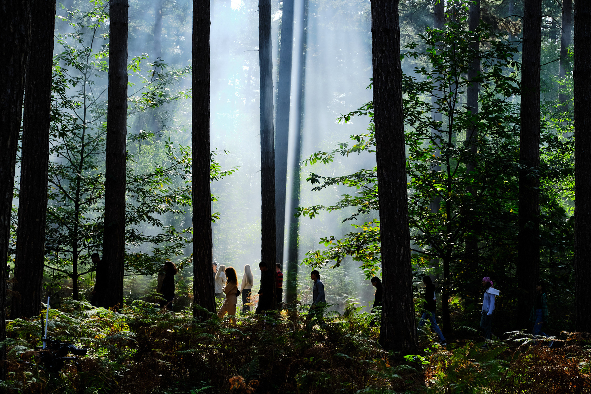 Burberry, Black Park