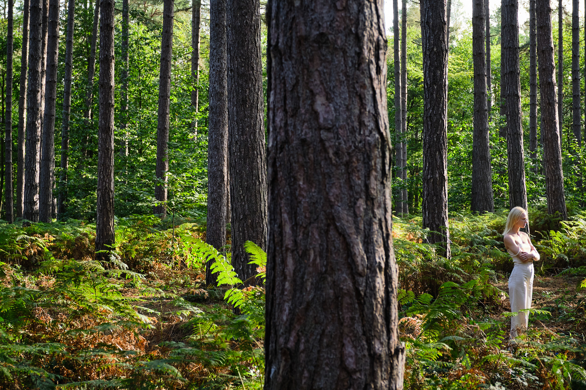 Burberry, Black Park