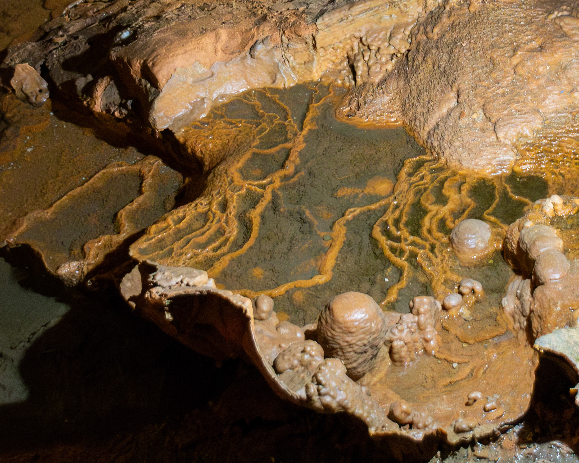 Limestone pool in Grutas de Mira