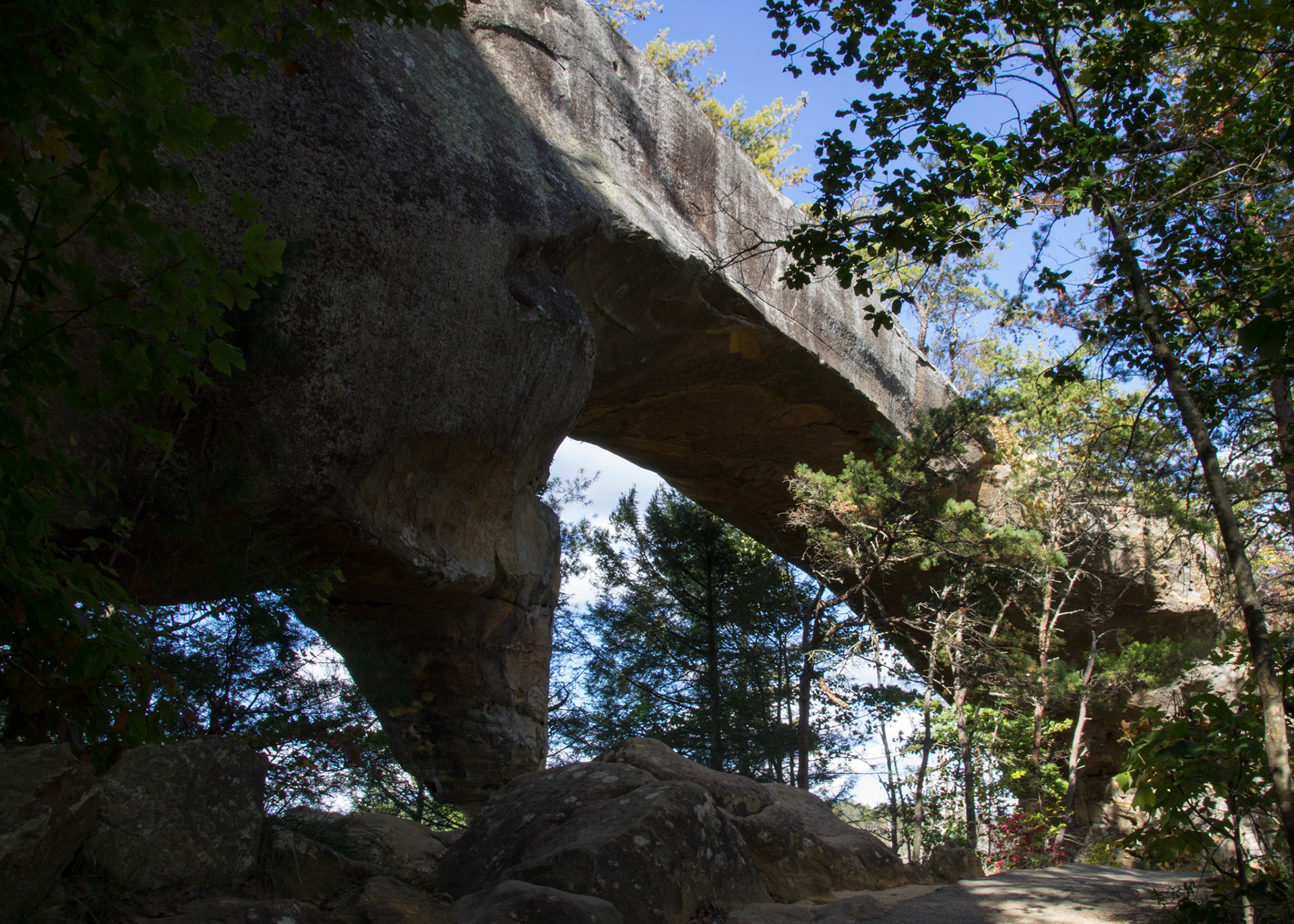 Skybridge