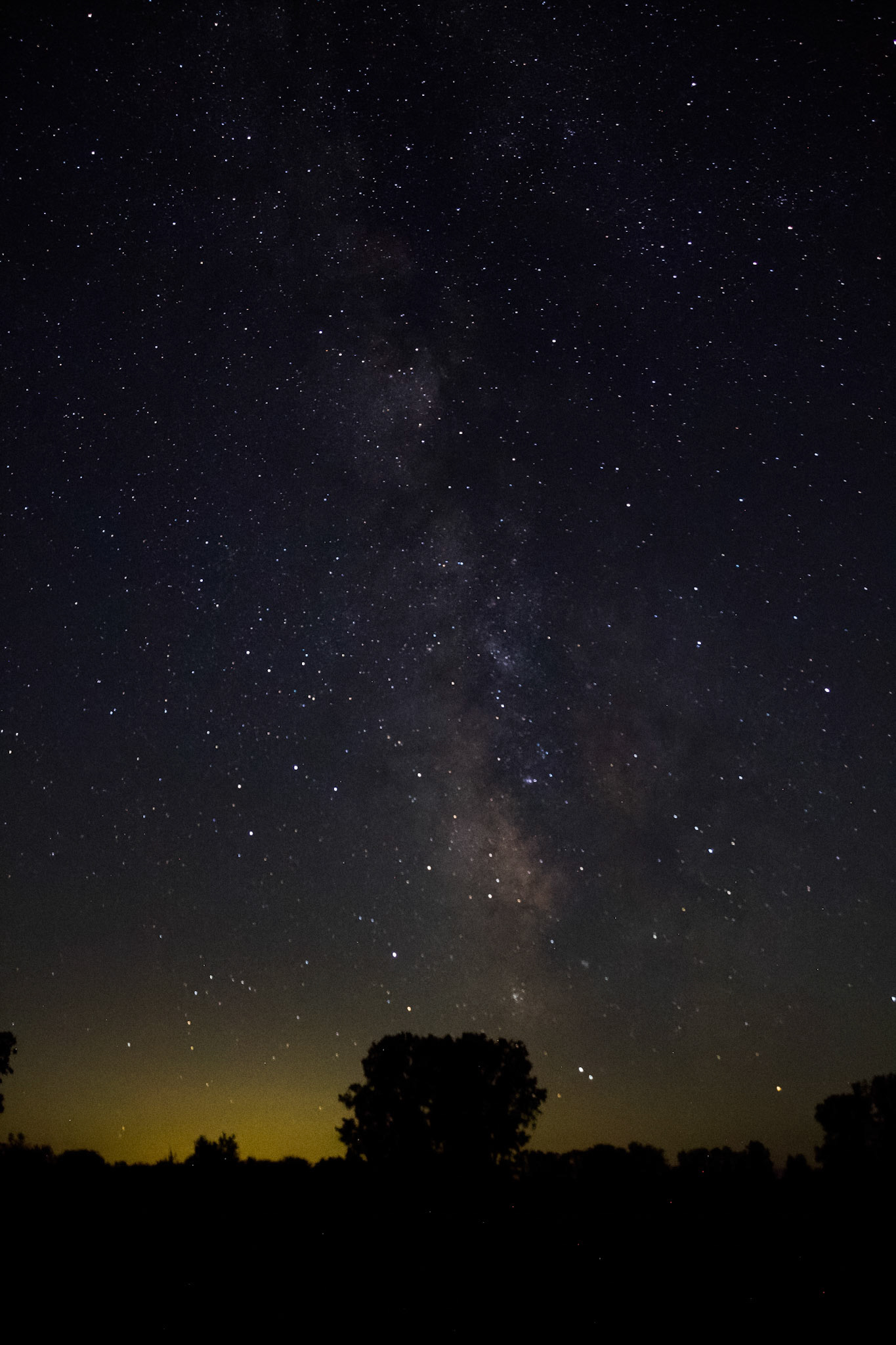 Milky way with trees in foreground