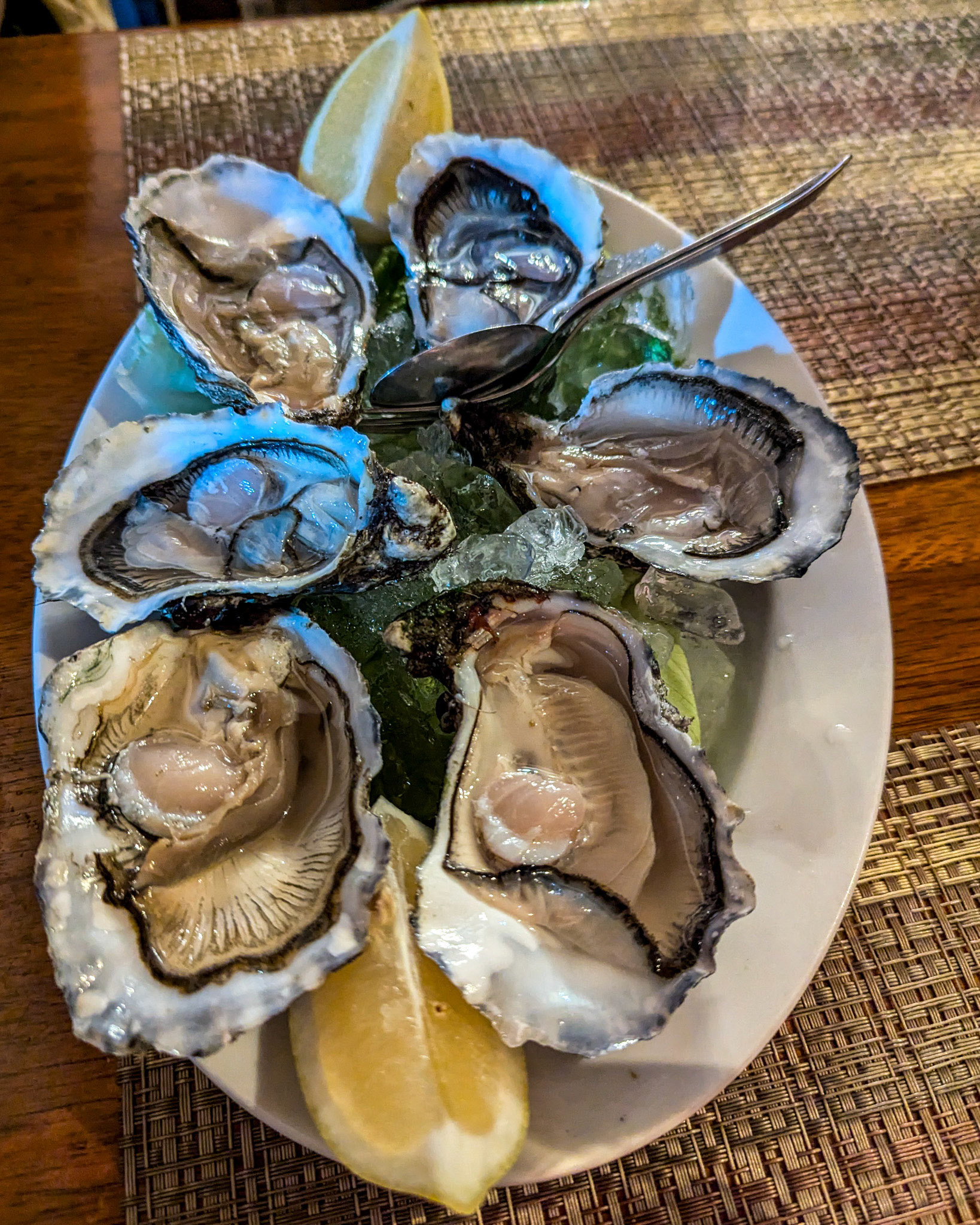 Oysters in Albufeira