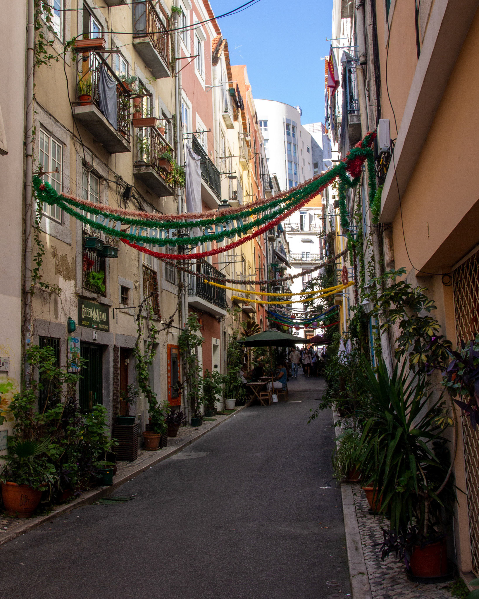 Green street in Lisbon