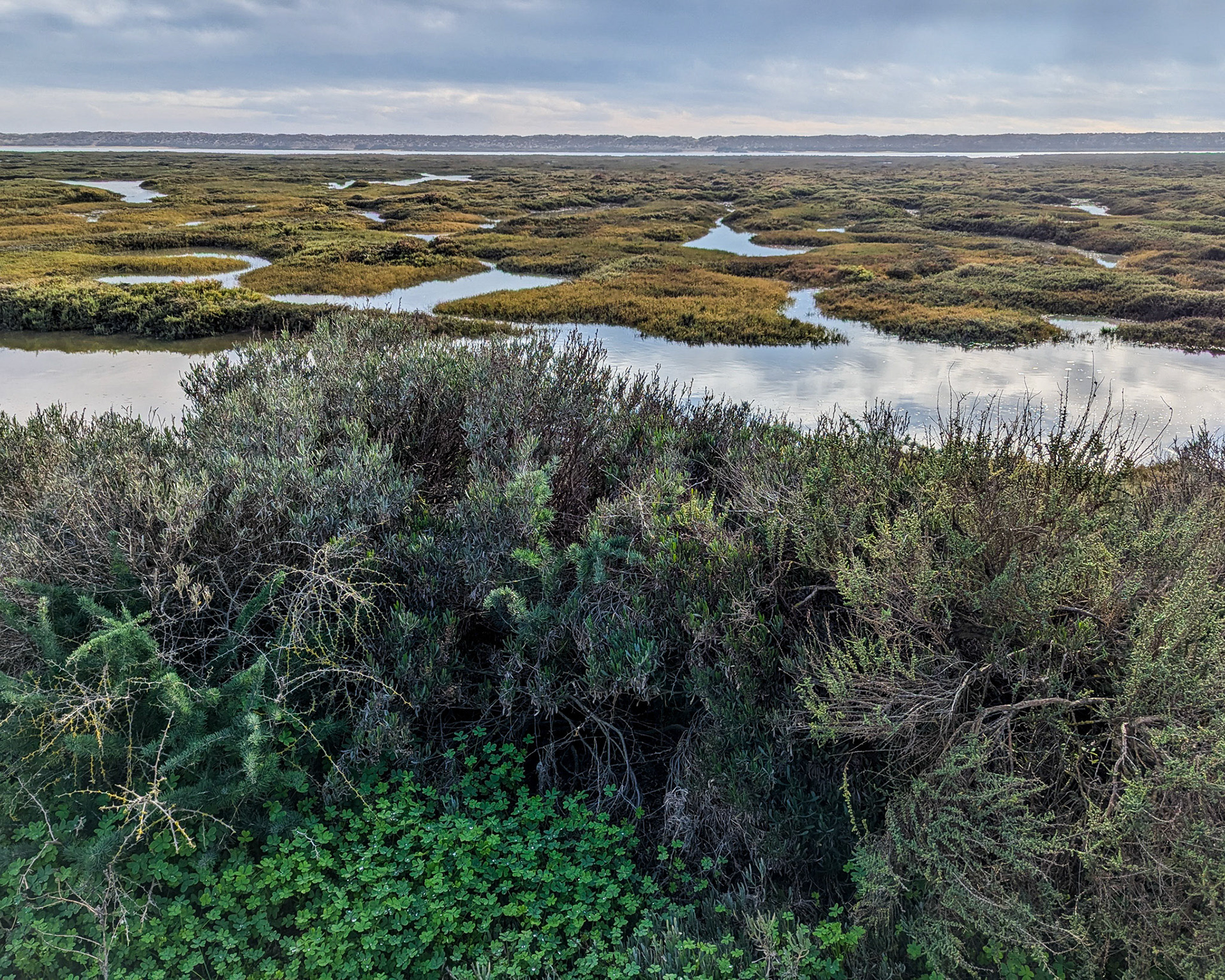 Ria Formosa