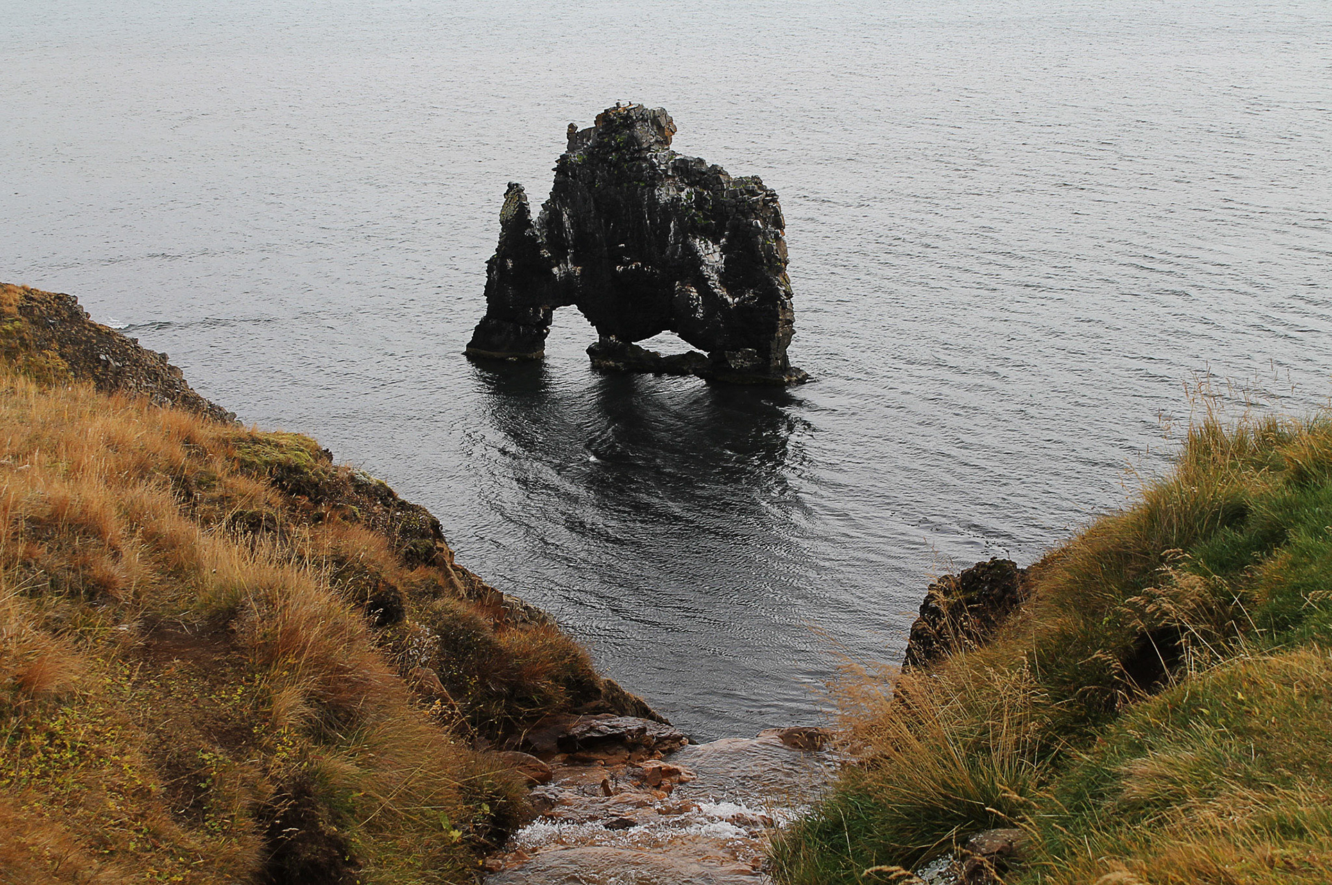 Hvitserkur
