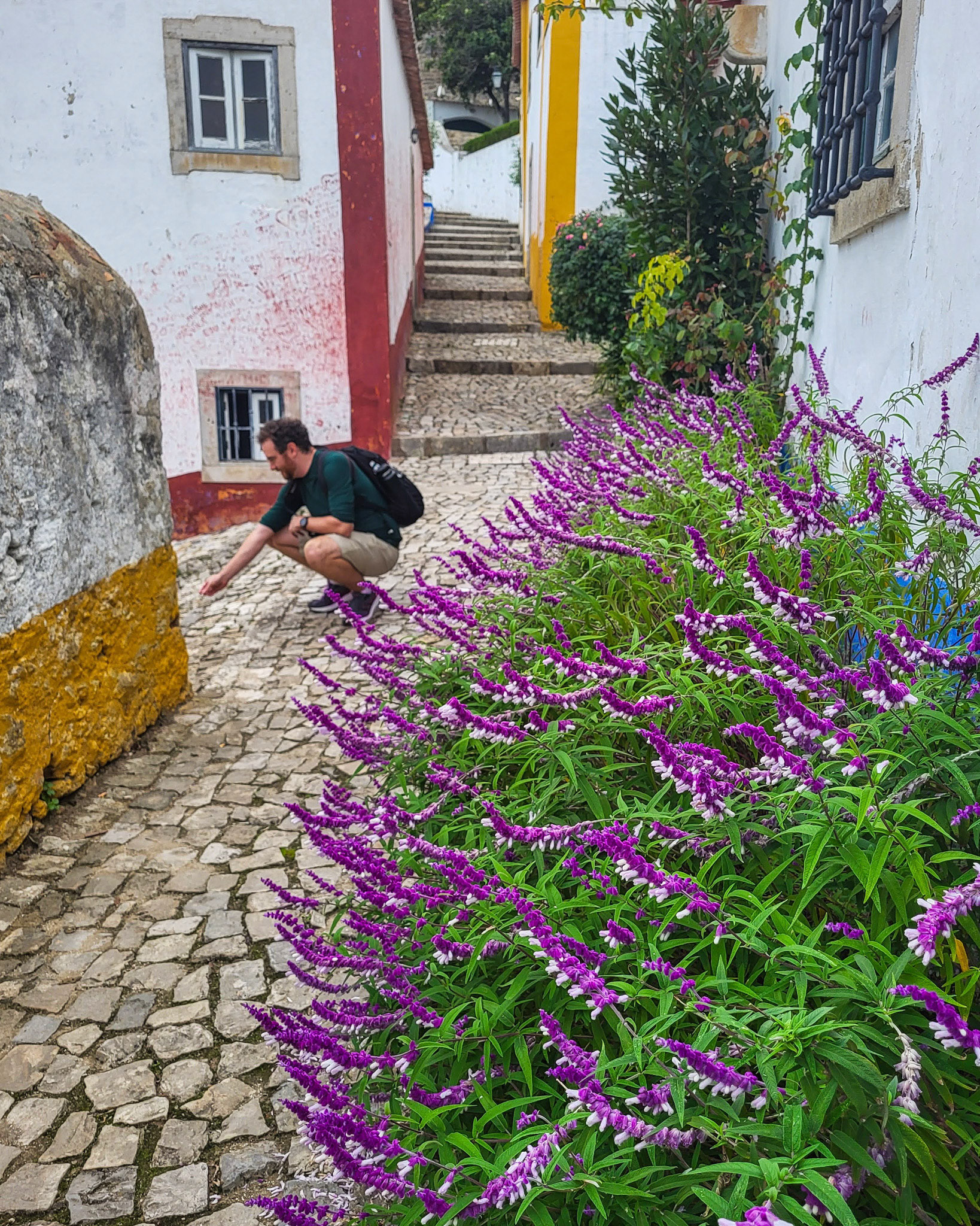 Summoning cats in Obidos