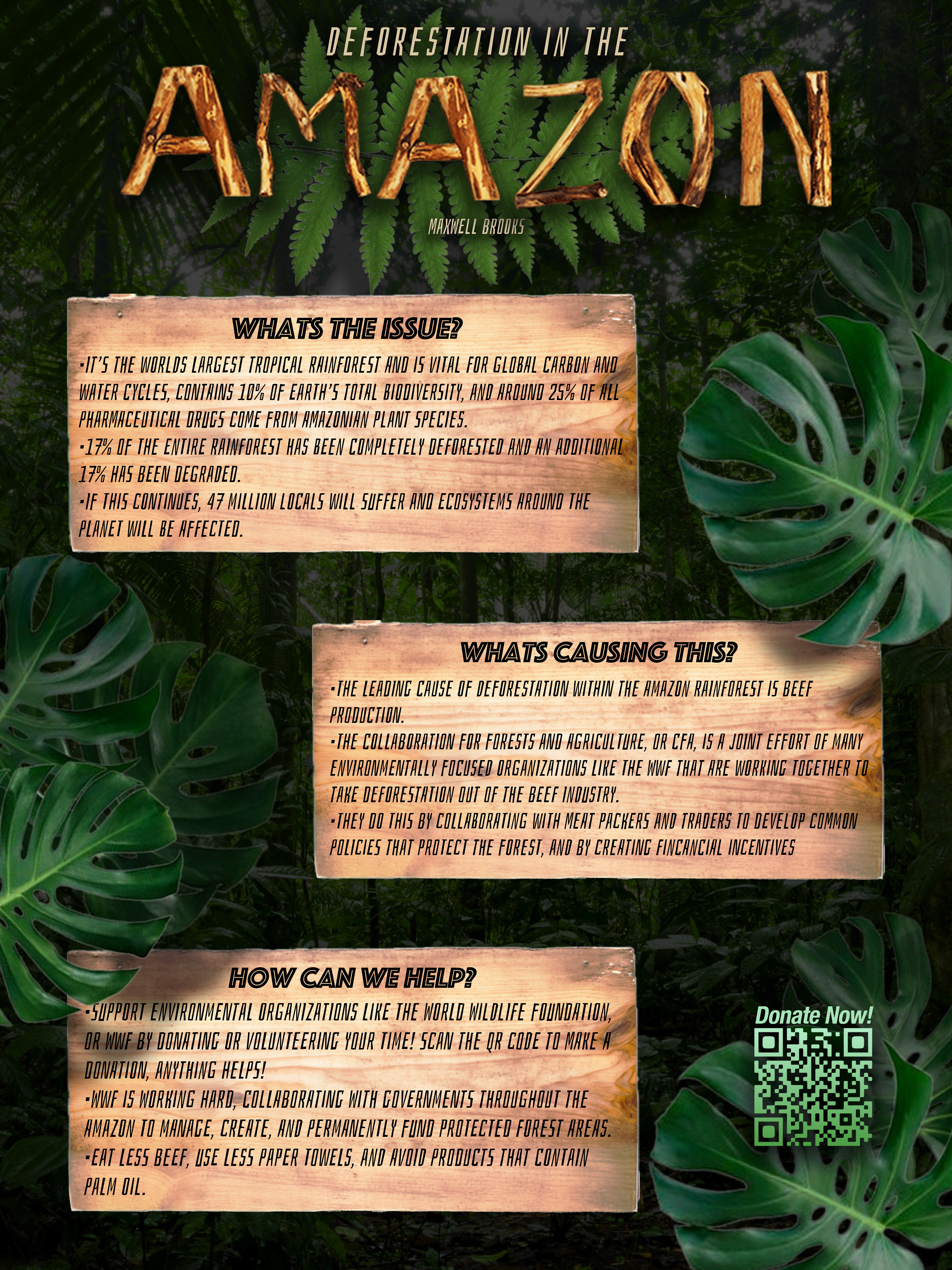 This poster was designed to promote an organization fighting deforestation in the Amazon