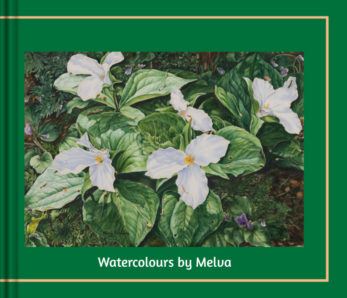 Hardcover 120 page Artist Watercolours