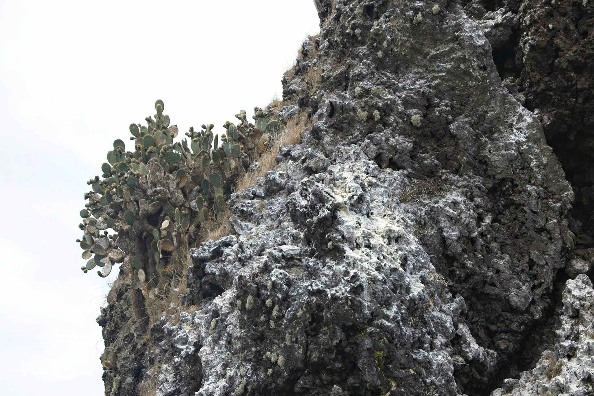 Floreana  Island - Galapagos