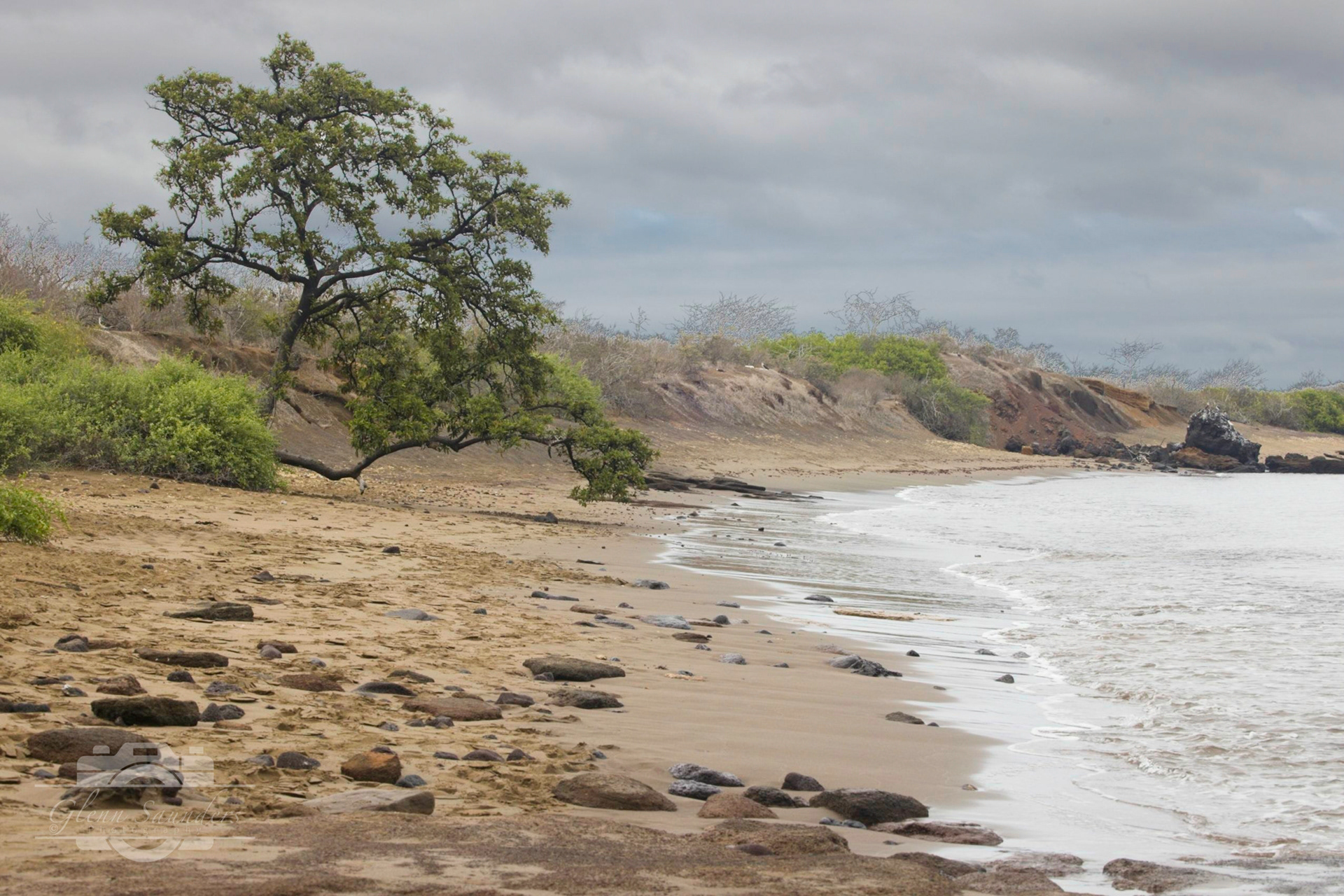 Floreana  Island - Galapagos