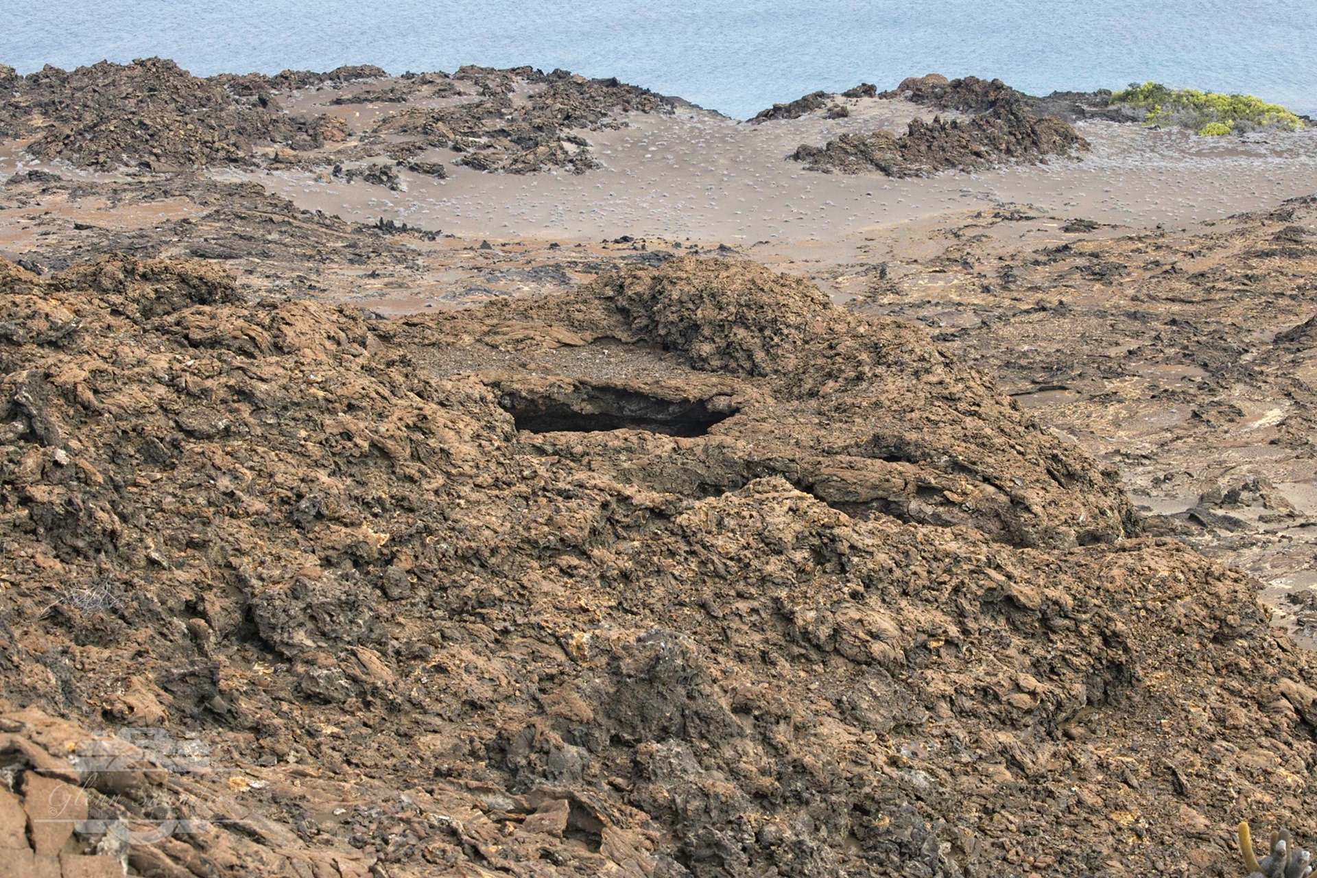 Genovesa Island - Galapagos