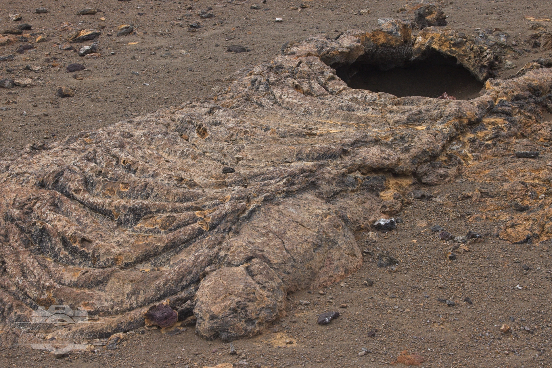 Genovesa Island - Galapagos