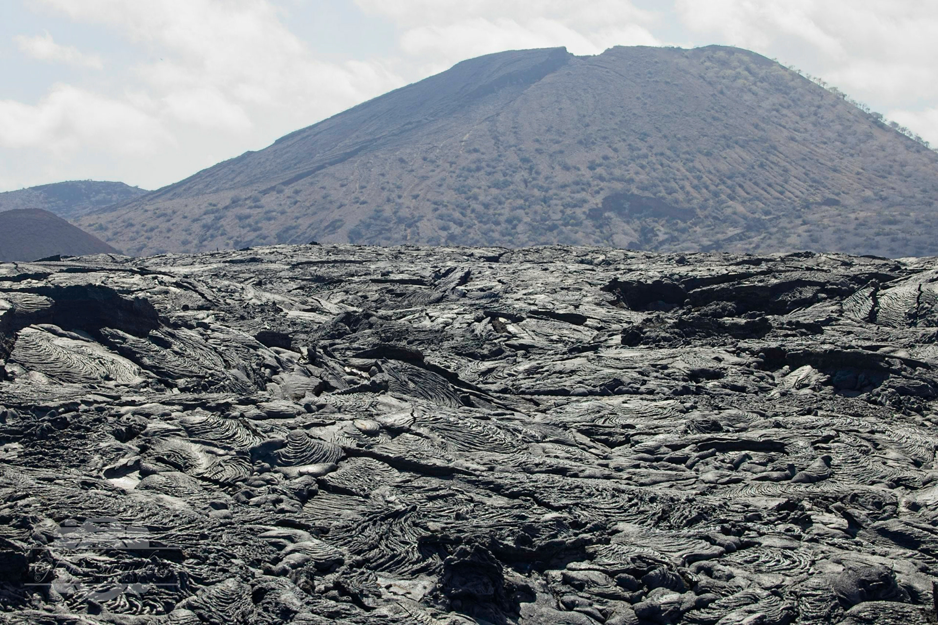 Santiago  Island- Galapagos