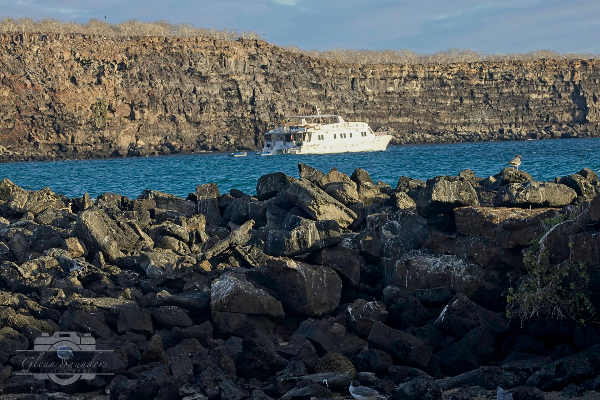 Genovesa Island - Galapagos