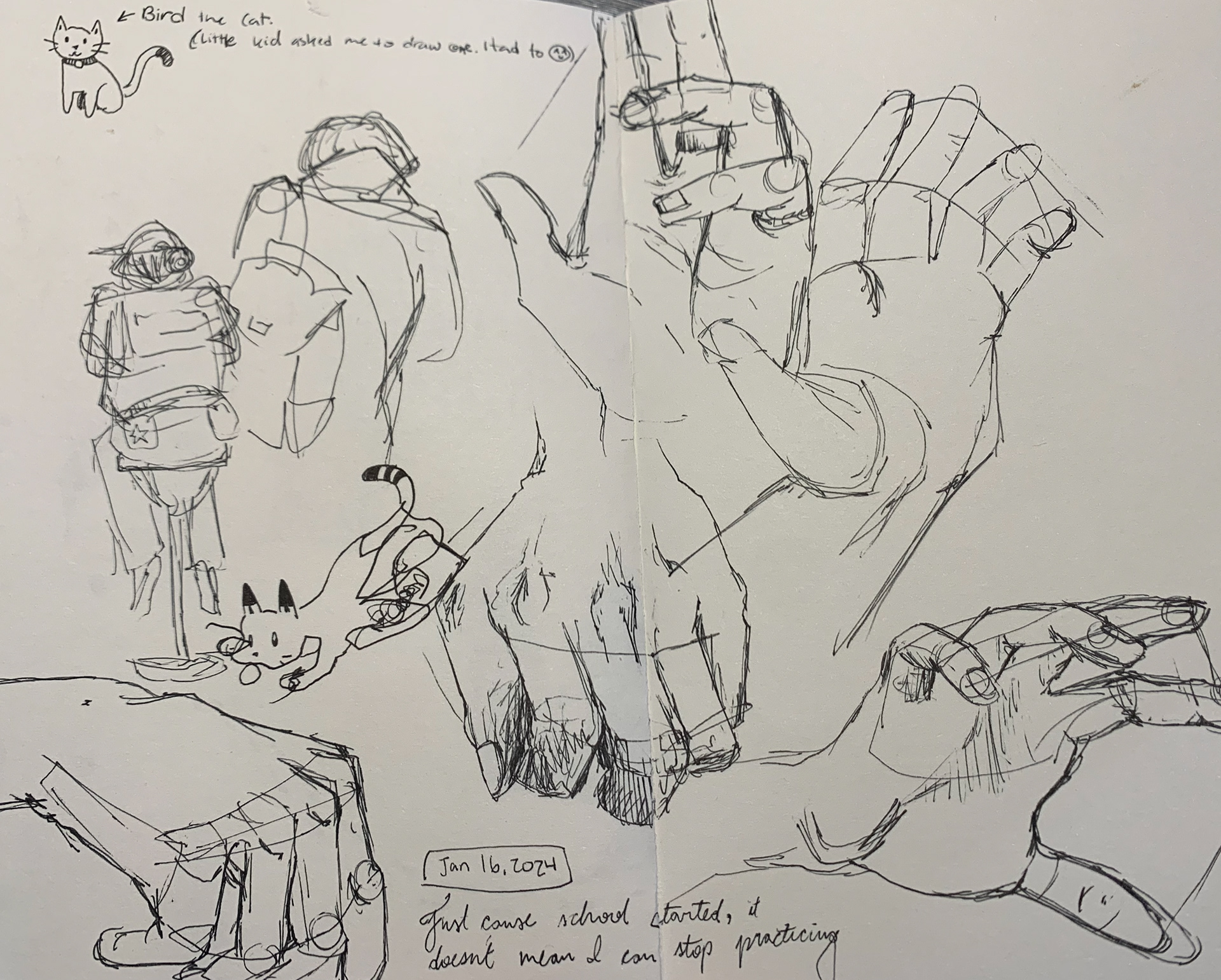 Hand Studies