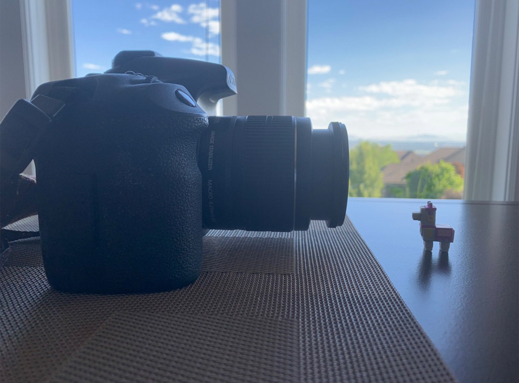Minecraft Llama vs Camera