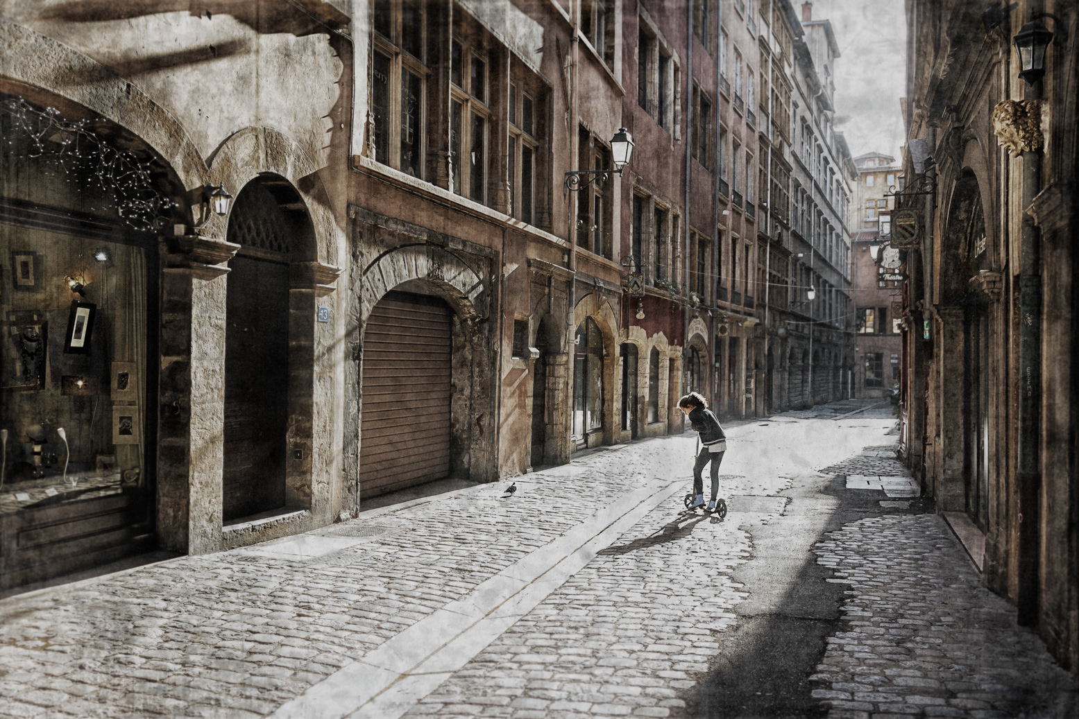 The little girl and the pigeon